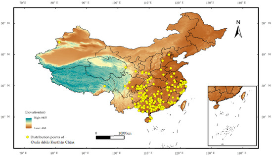 Predicting the Potential Distribution of Oxalis debilis Kunth, an ...