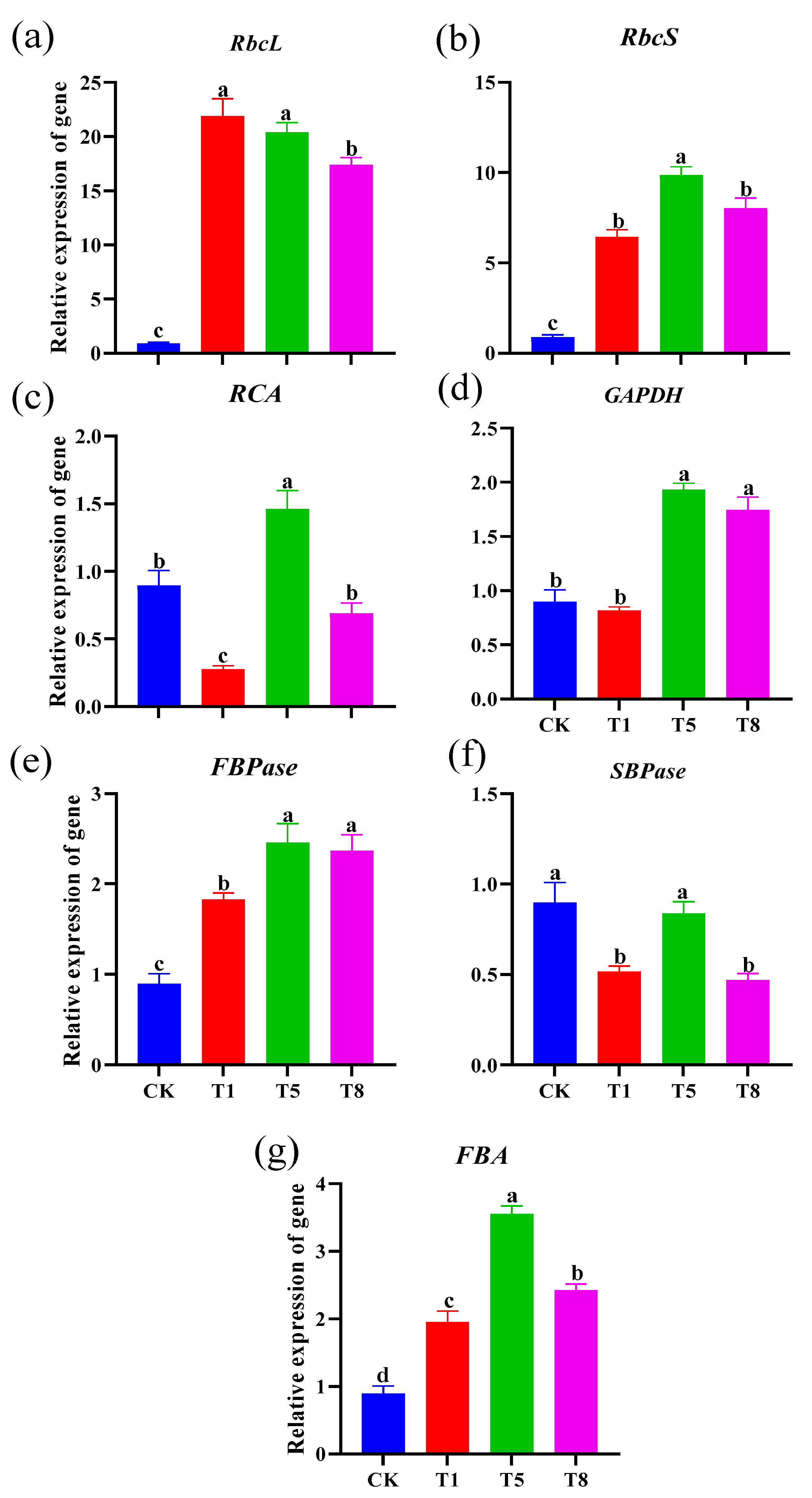 Plants 12 04000 g004