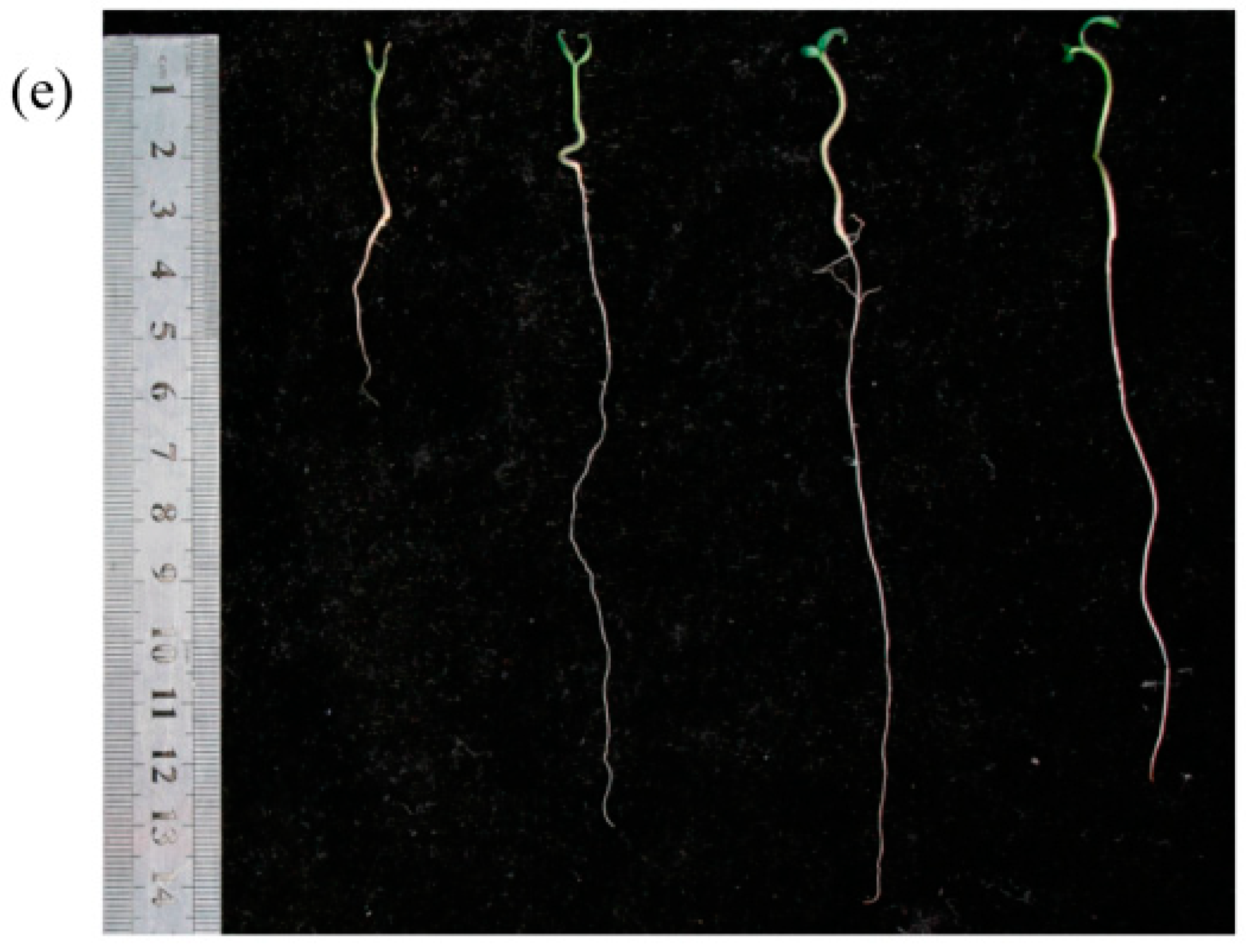 Plants 12 04000 g006b