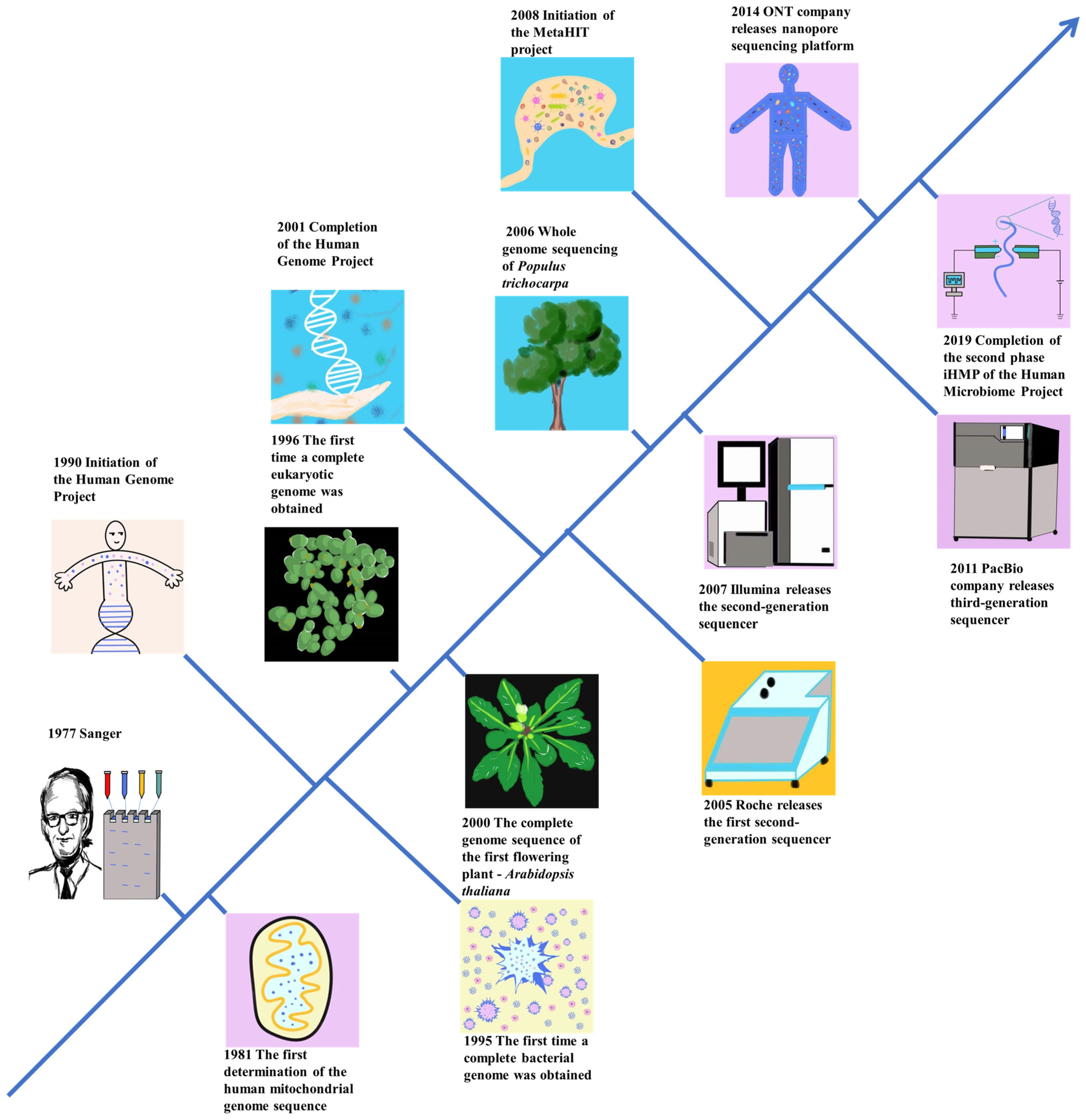 Plants 12 04006 g001 Plants 12 04006 g001