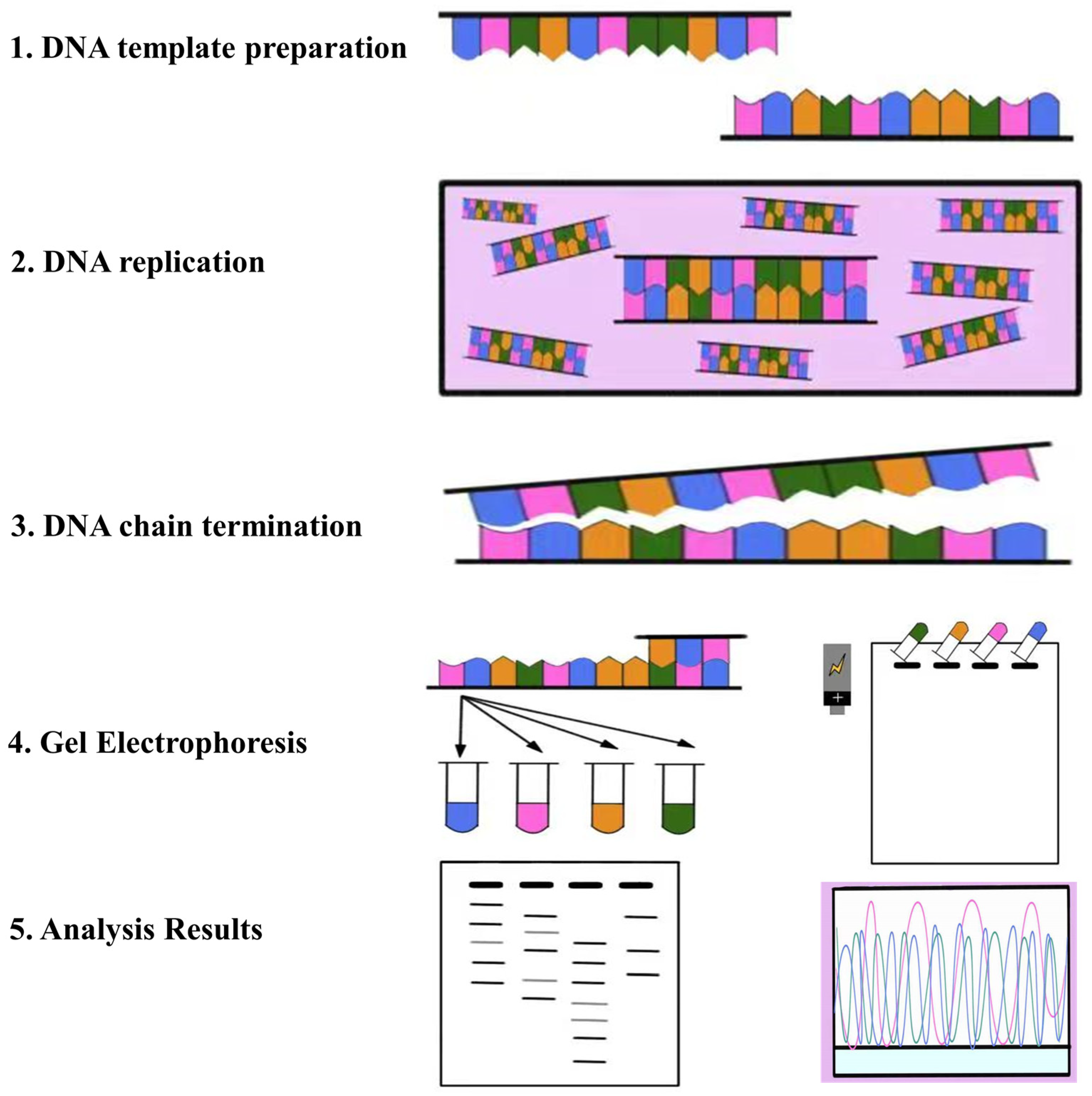 Plants 12 04006 g002 Plants 12 04006 g002
