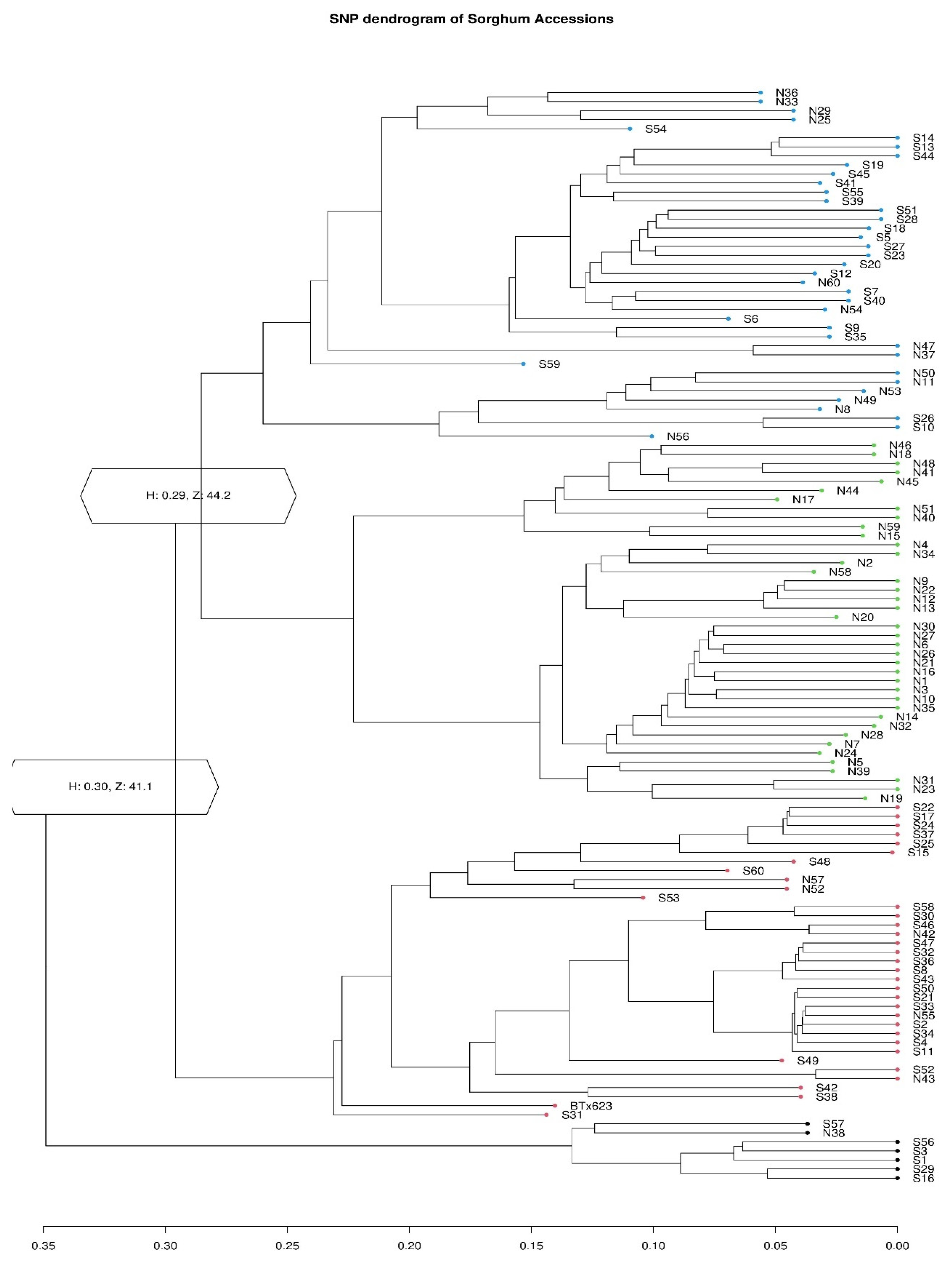 Plants 12 04010 g004