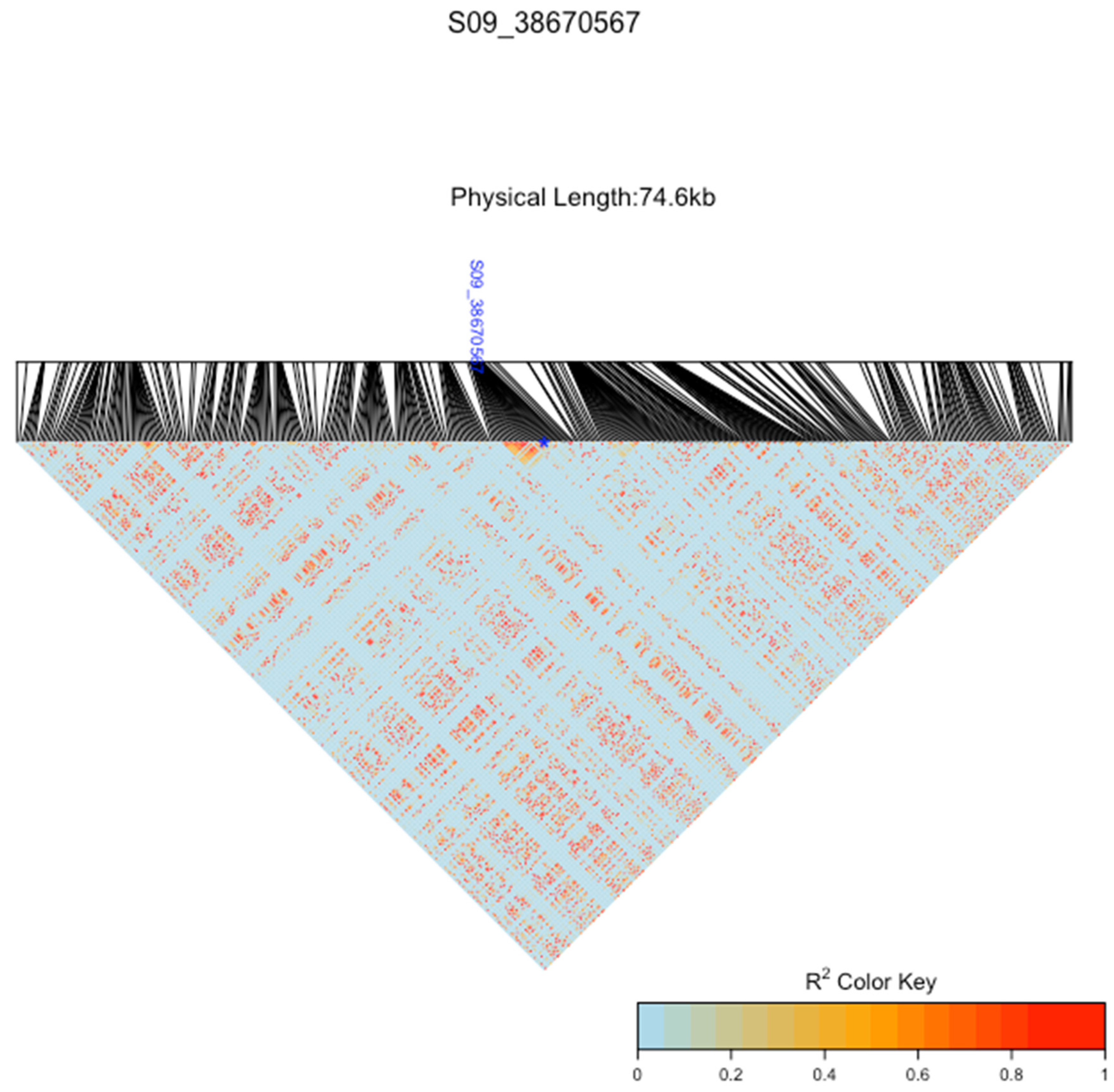 Plants 12 04010 g006