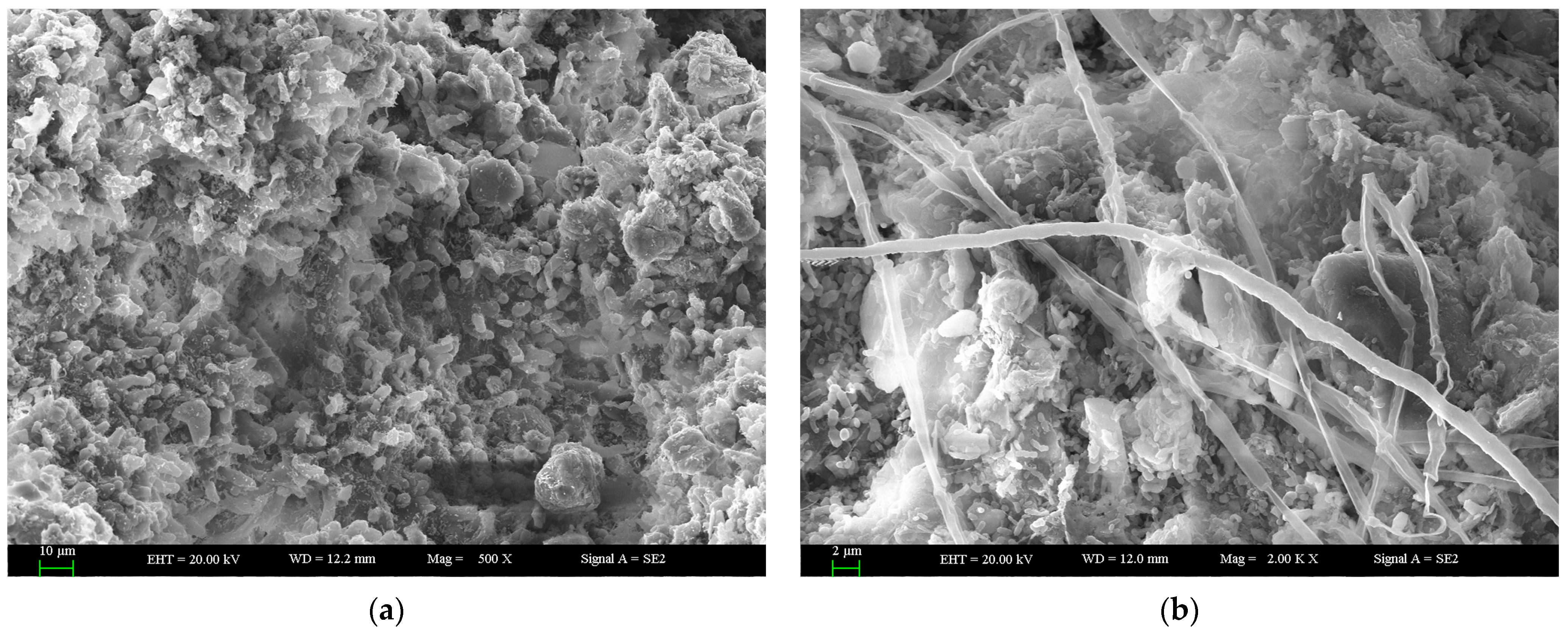 Plants 12 04011 g001a