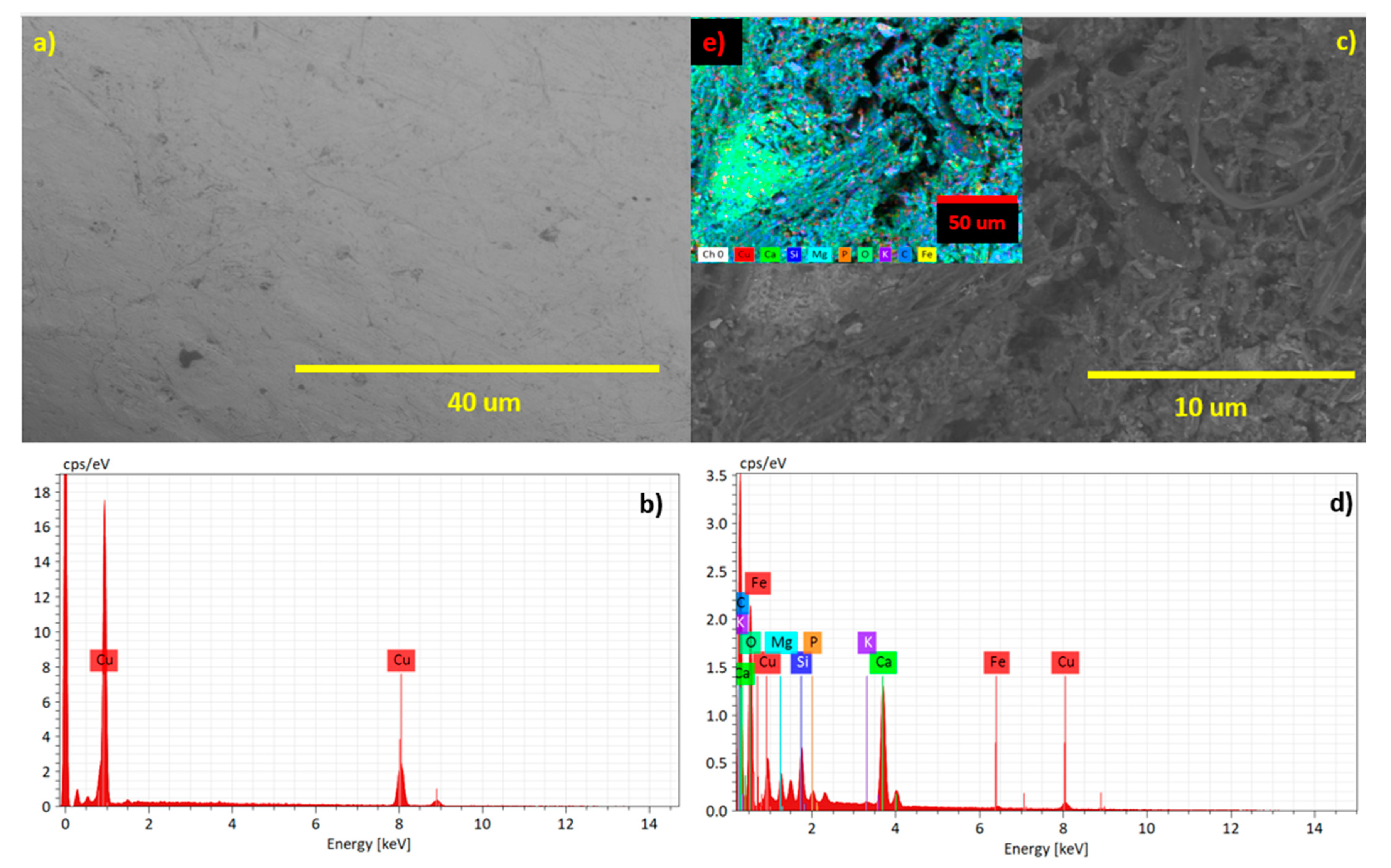 Plants 12 04016 g005
