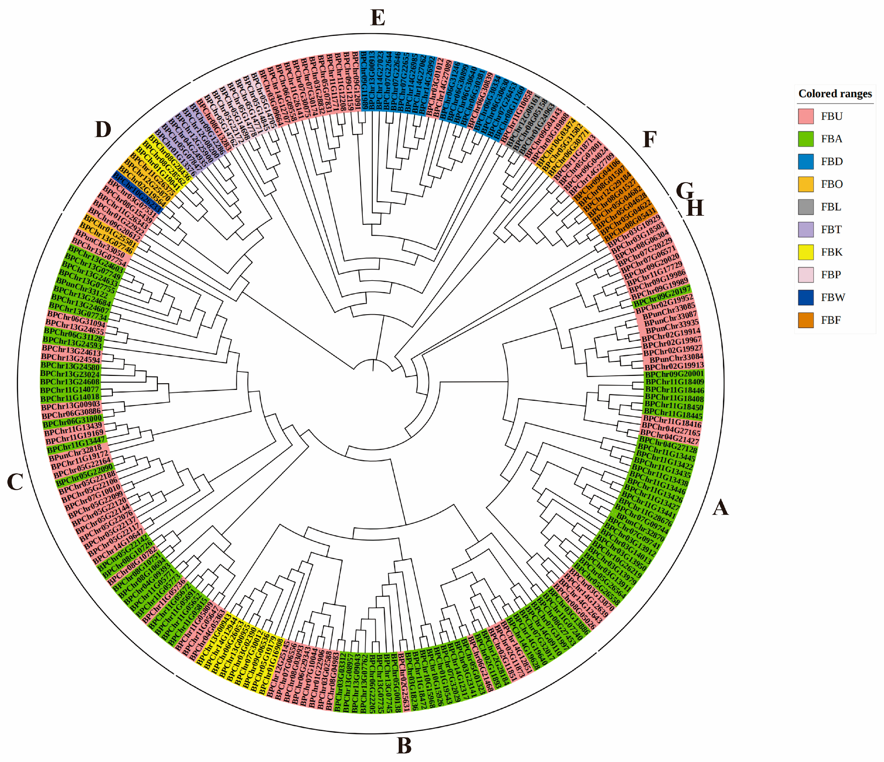Plants 12 04018 g002 Plants 12 04018 g002