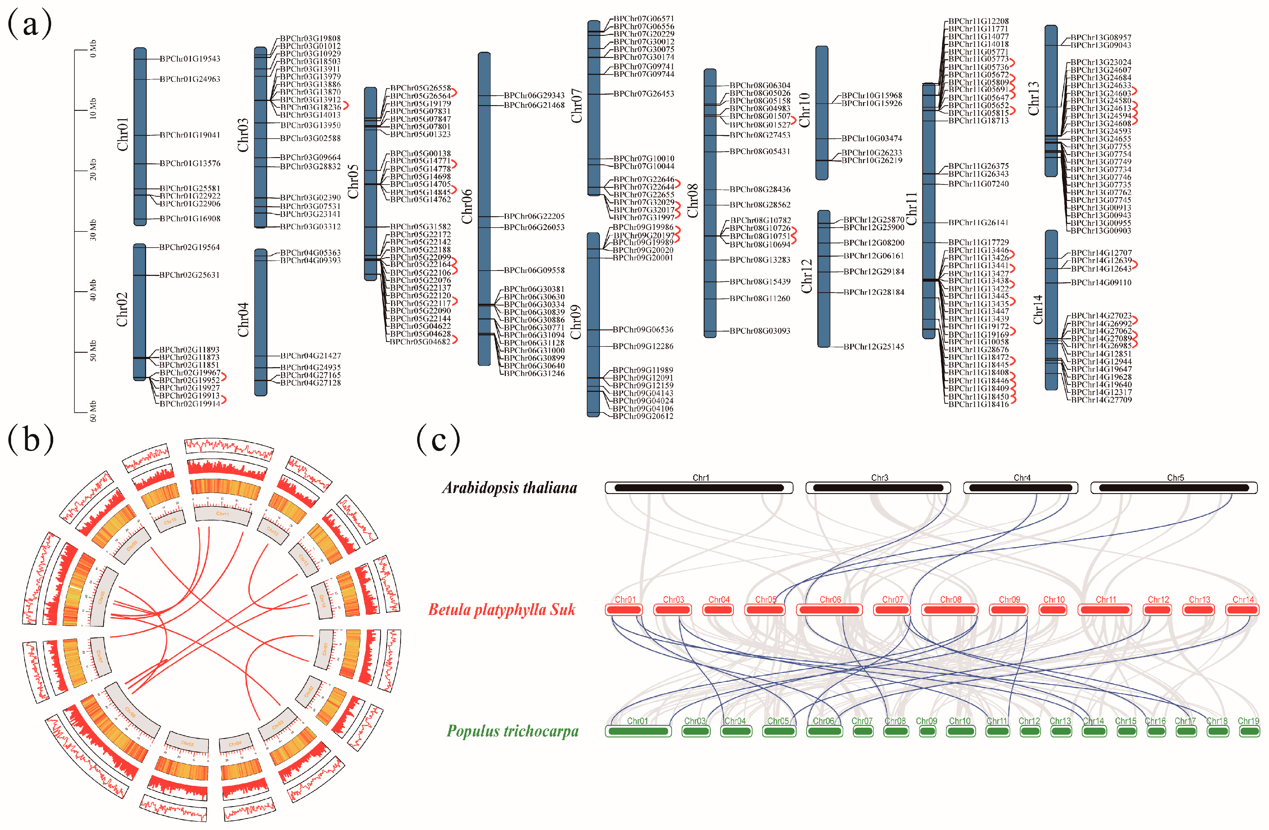 Plants 12 04018 g003 Plants 12 04018 g003