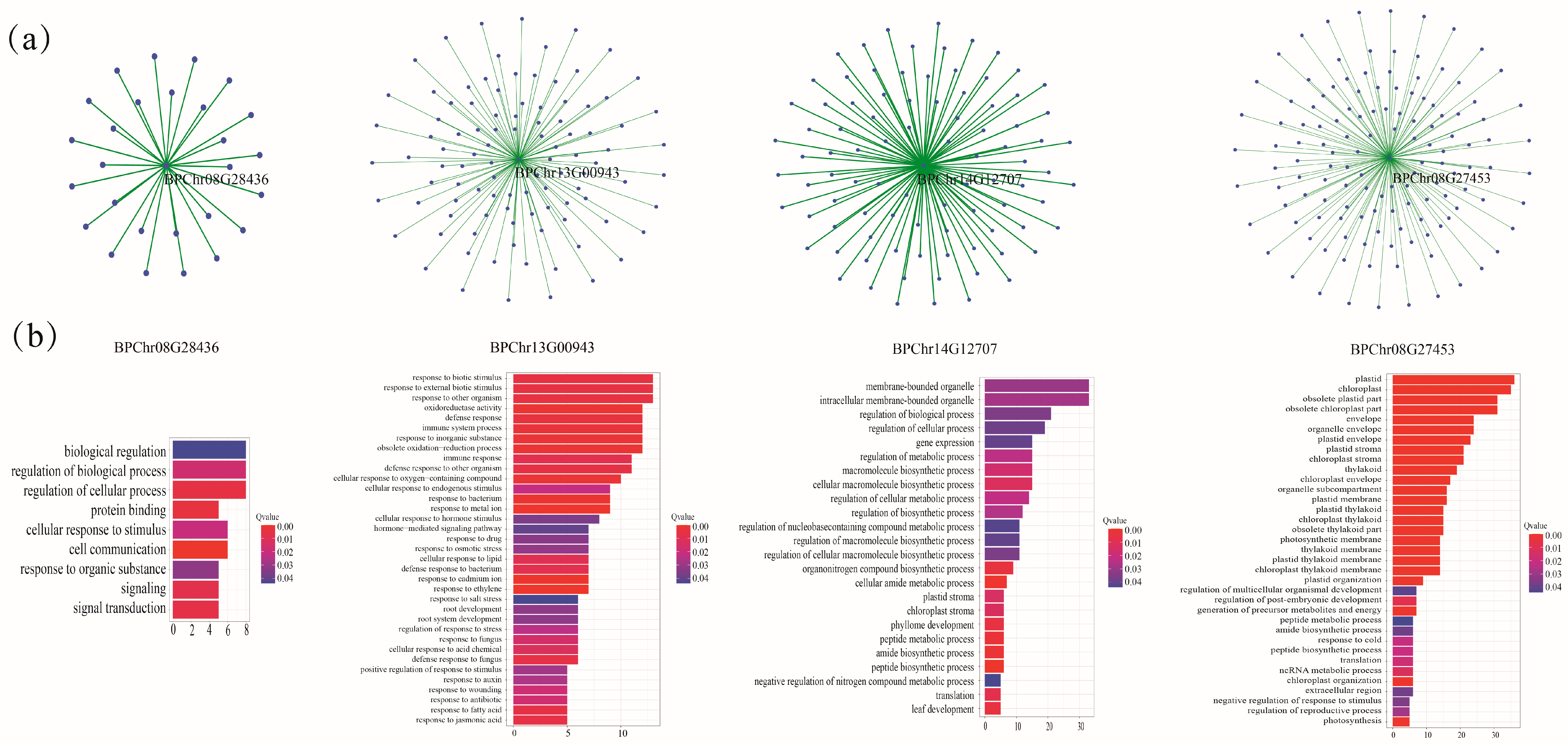 Plants 12 04018 g006 Plants 12 04018 g006