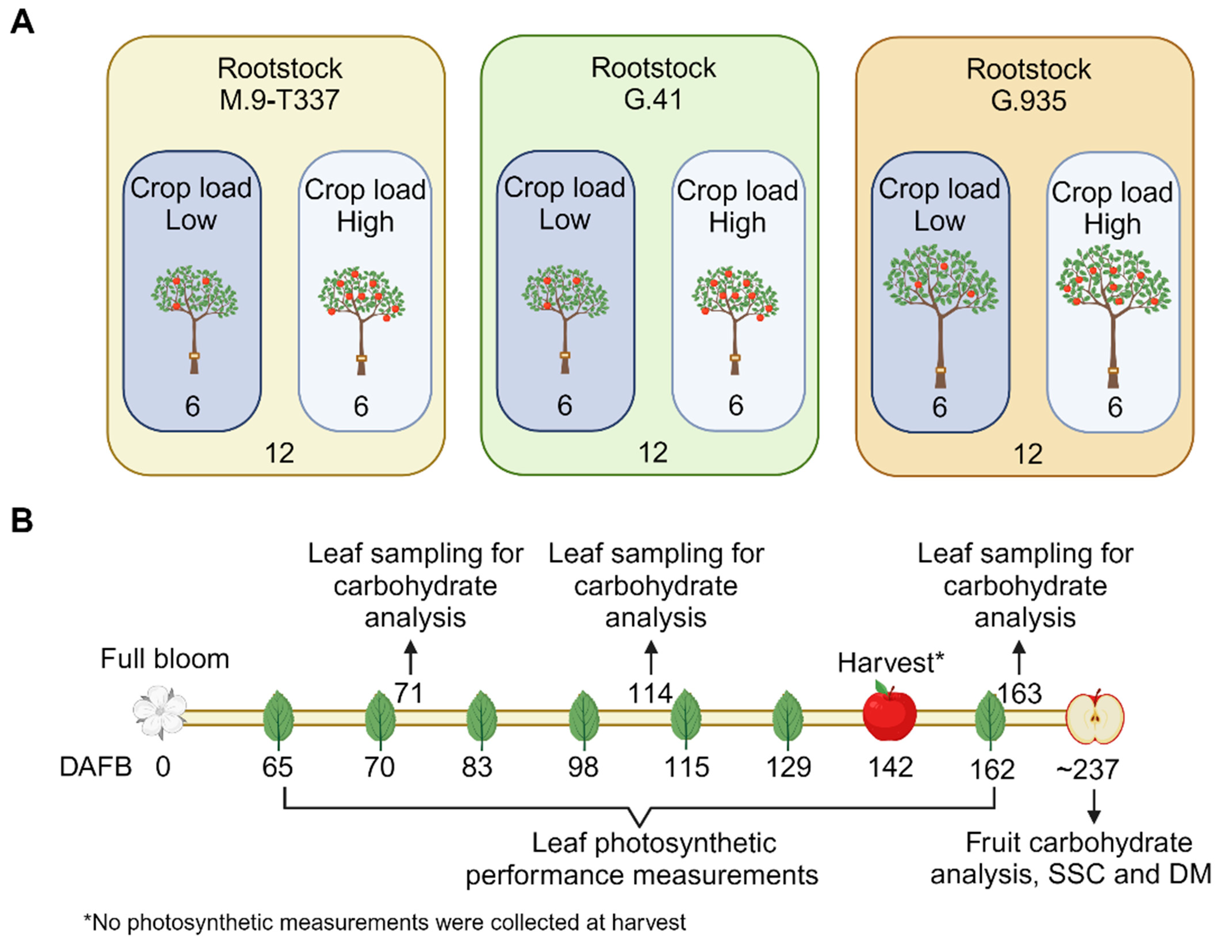 Plants 12 04035 g007