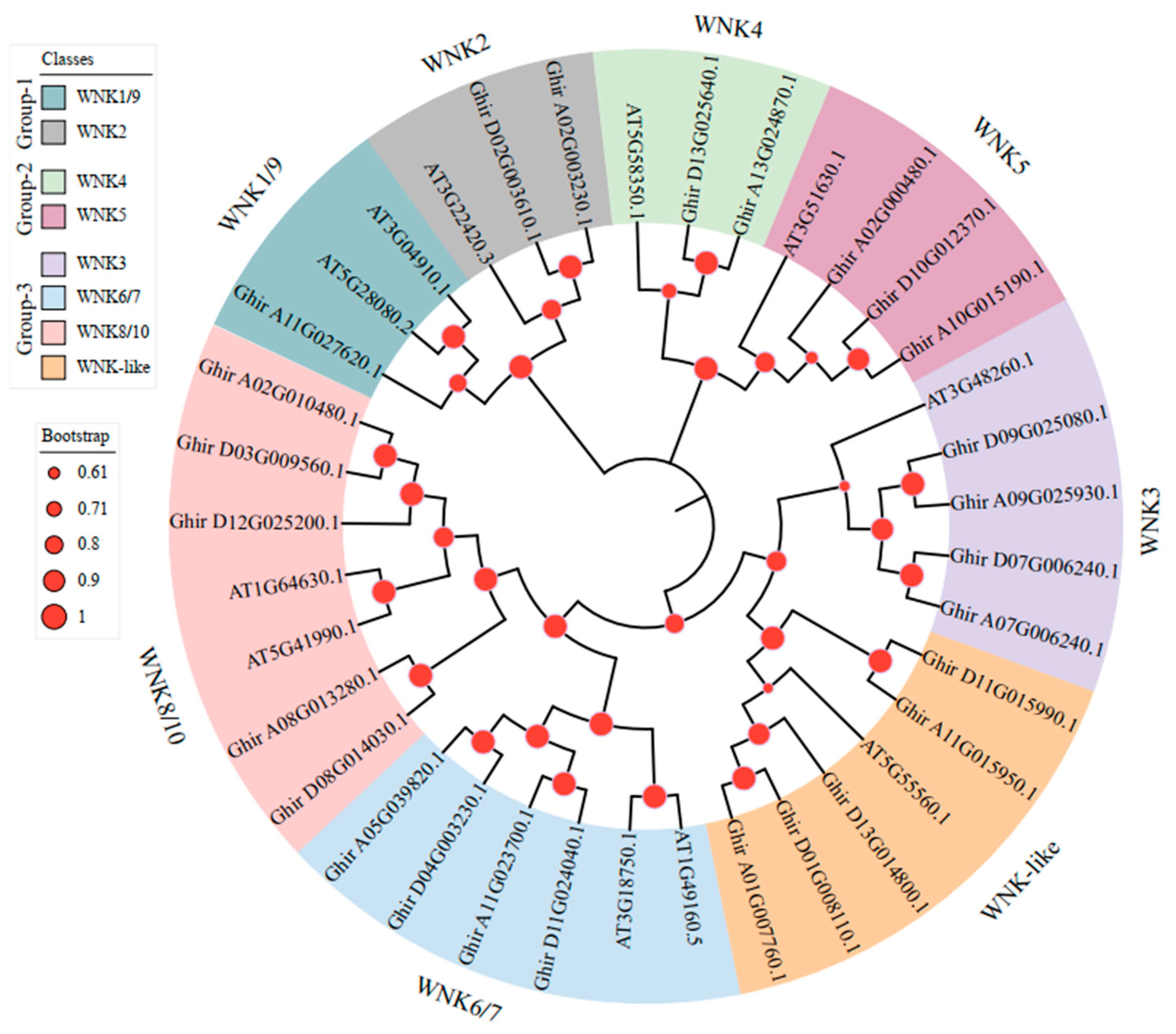 Plants 12 04036 g001