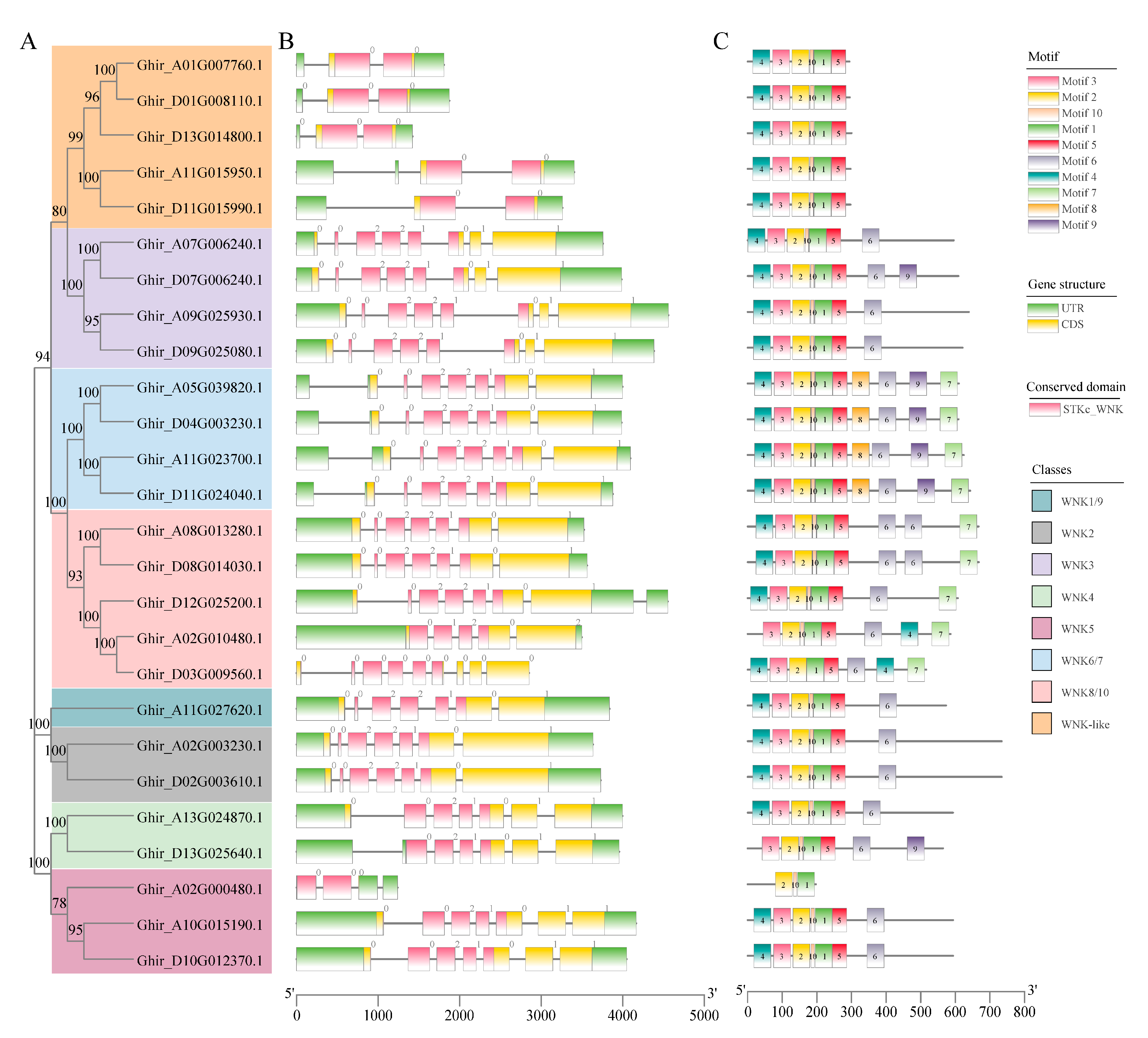 Plants 12 04036 g002