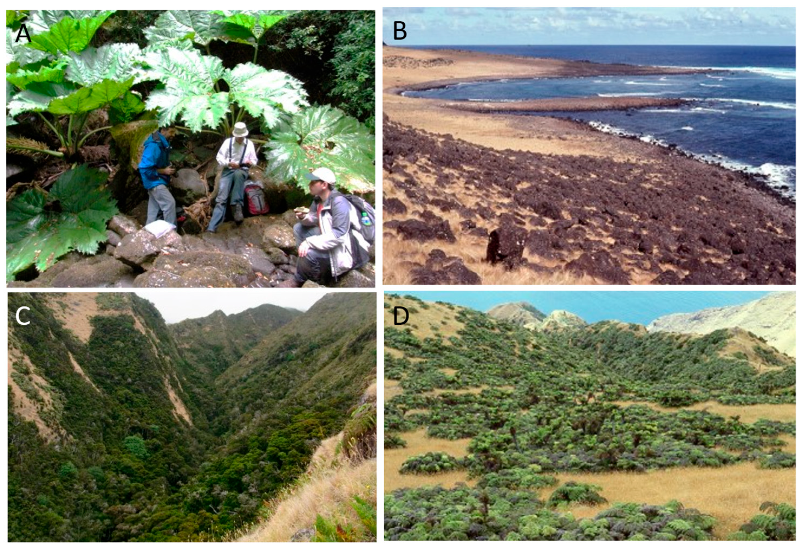 Plants 12 04038 g004 Plants 12 04038 g004