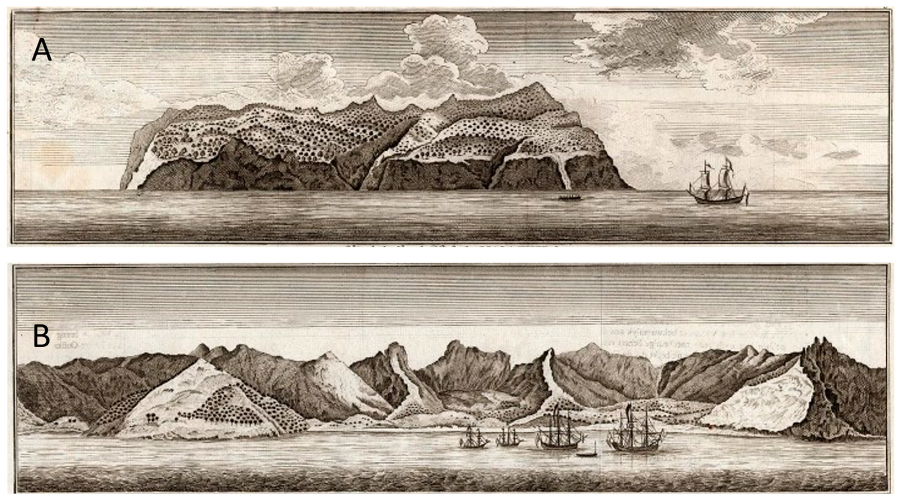 Plants 12 04038 g008 Plants 12 04038 g008