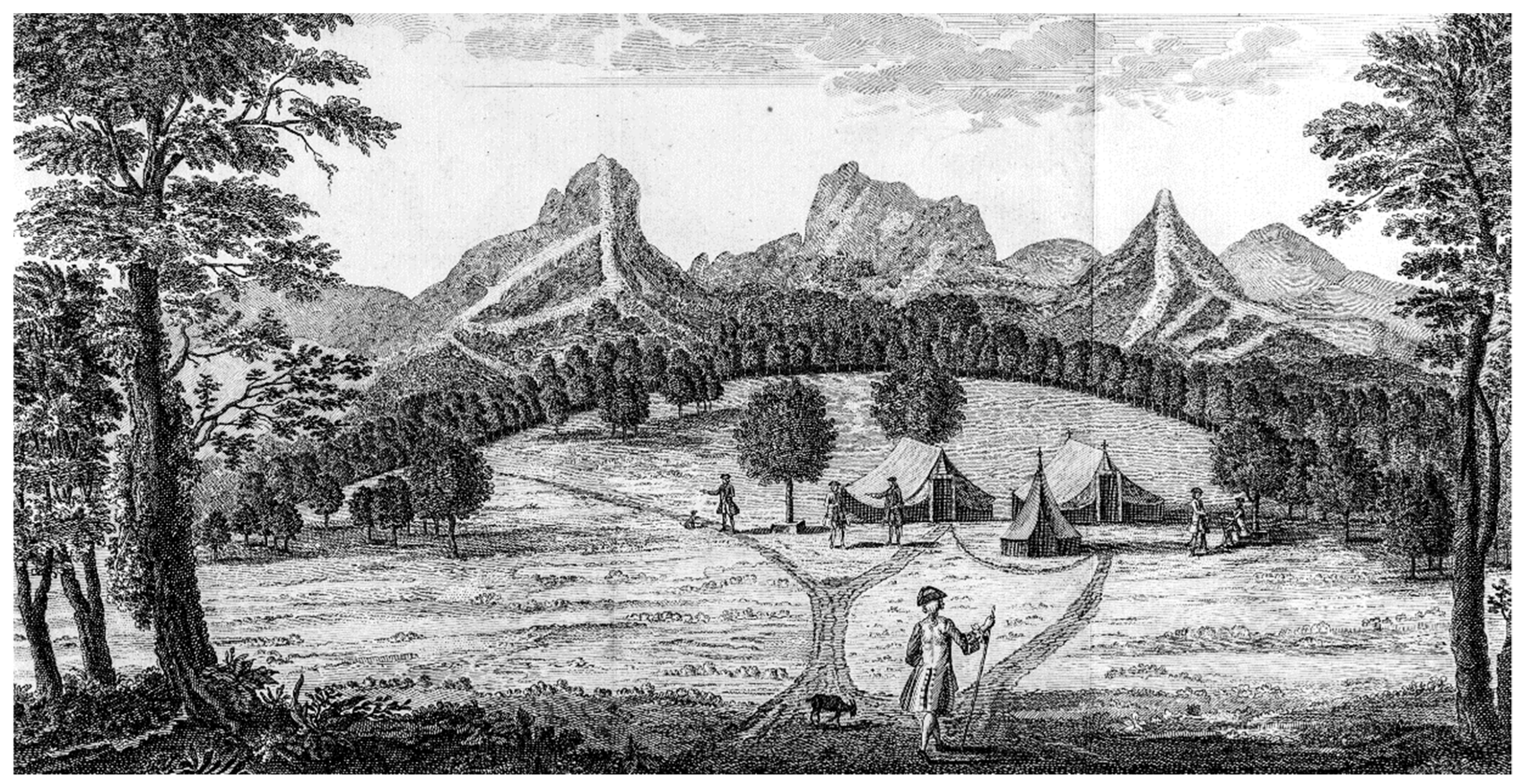 Plants 12 04038 g009 Plants 12 04038 g009