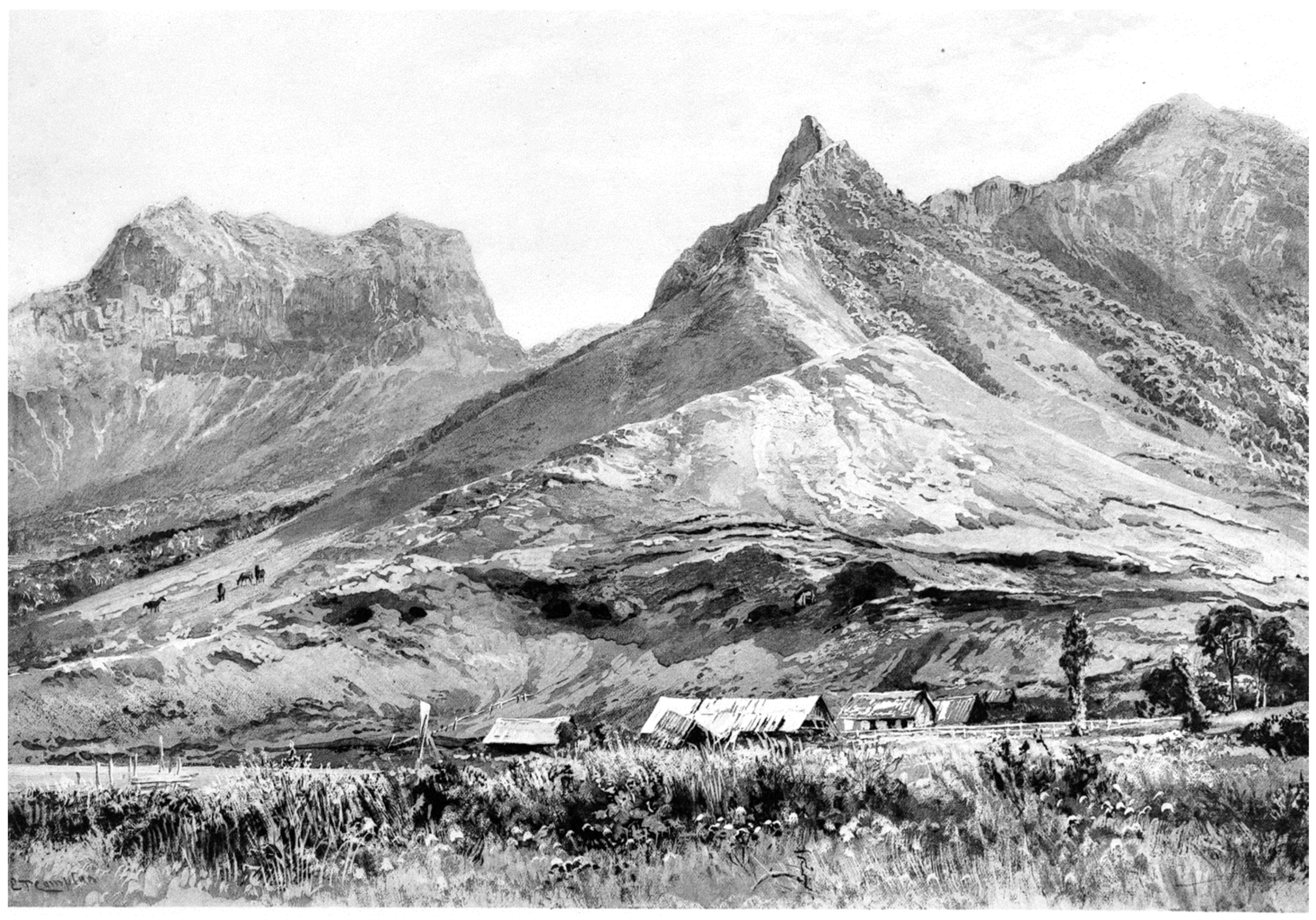 Plants 12 04038 g011 Plants 12 04038 g011