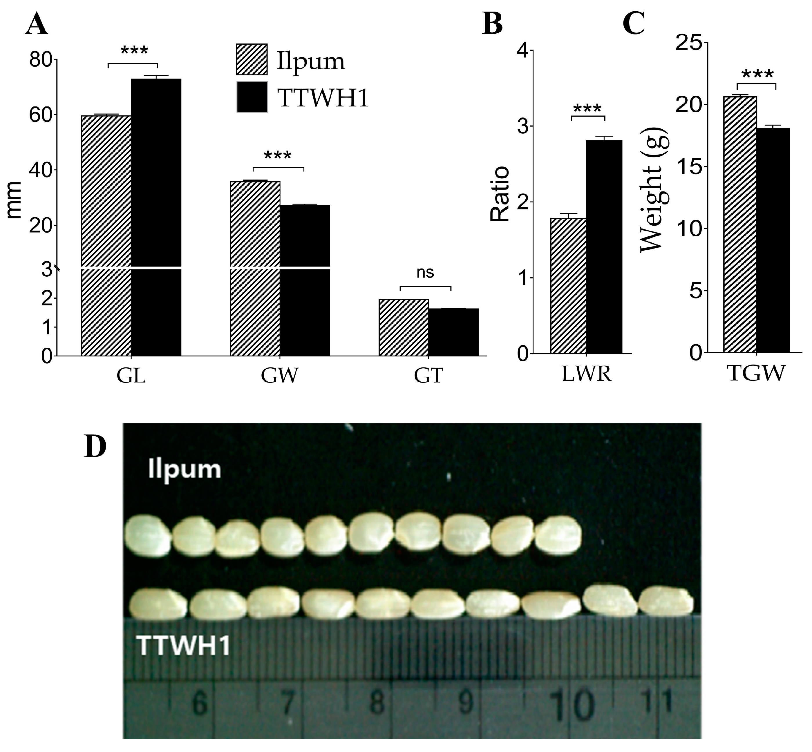 Plants 12 04044 g001 Plants 12 04044 g001