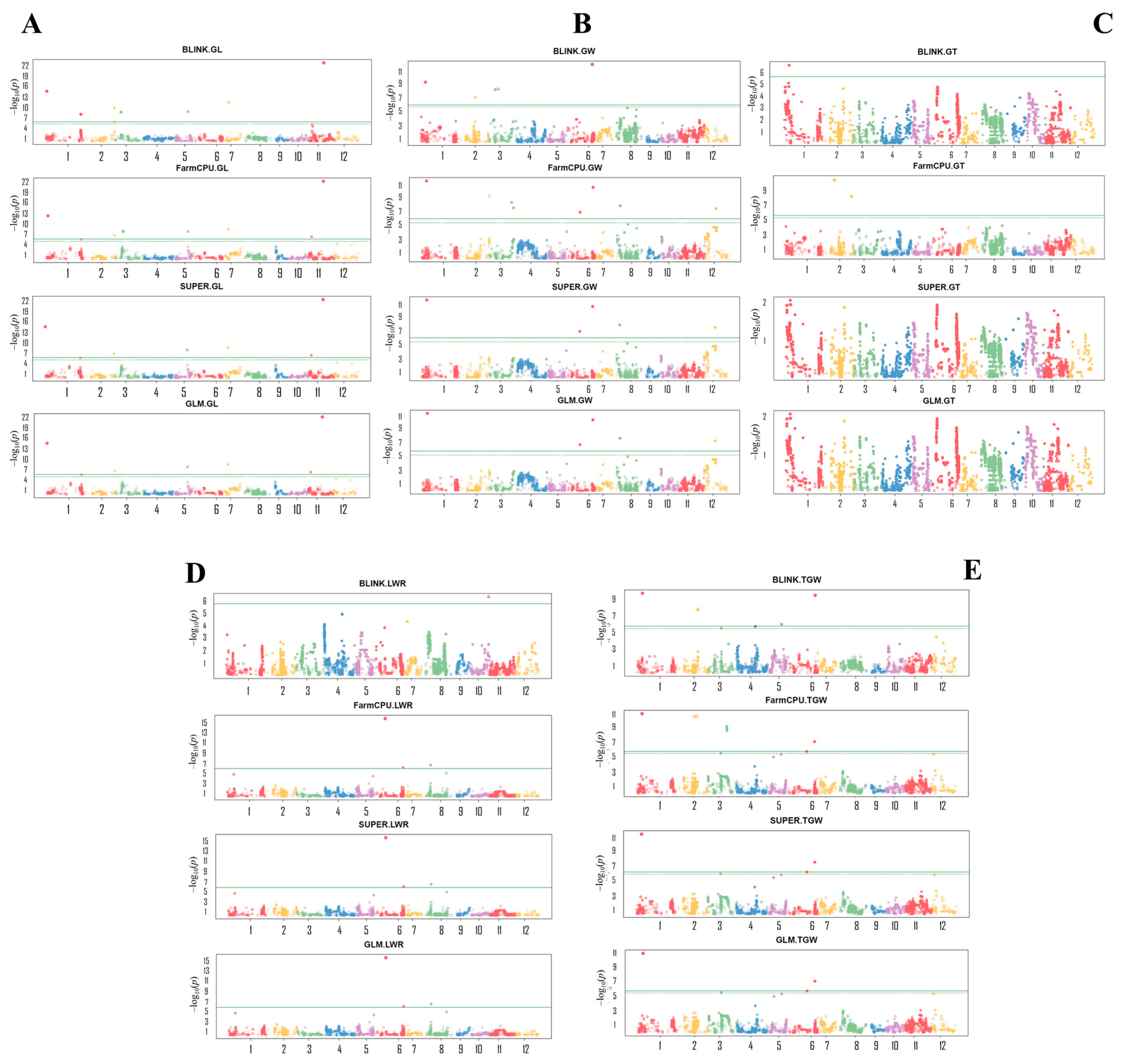 Plants 12 04044 g005 Plants 12 04044 g005