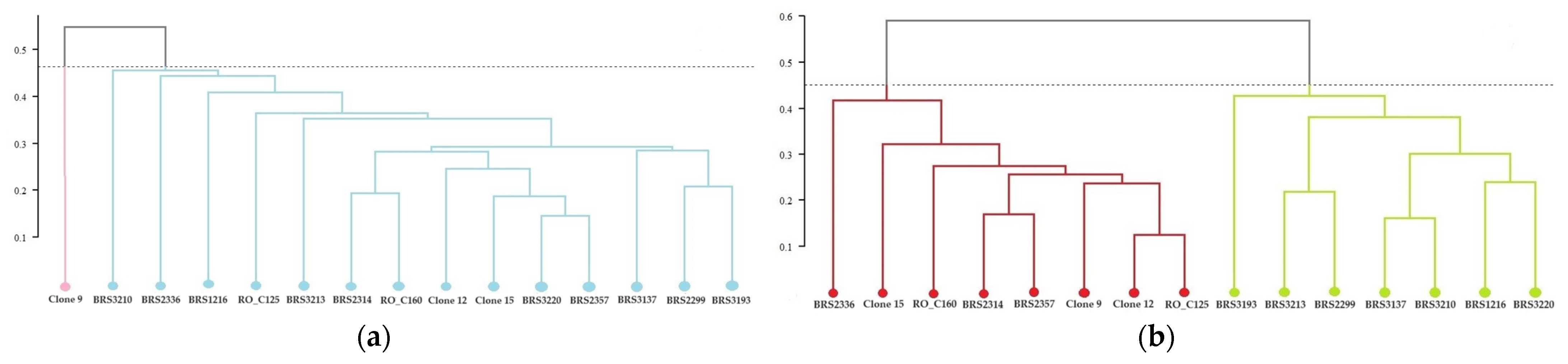 Plants 12 04052 g005 Plants 12 04052 g005