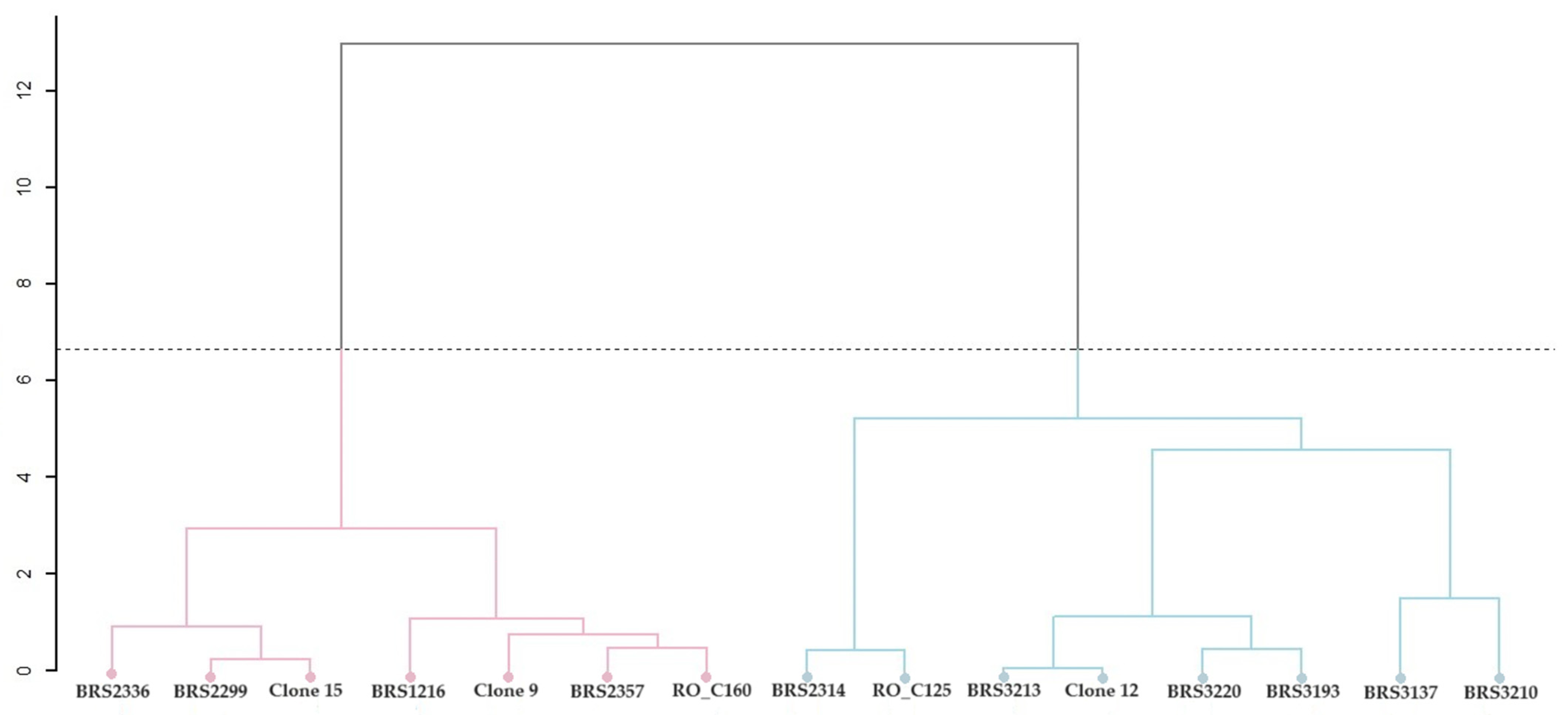 Plants 12 04052 g007 Plants 12 04052 g007