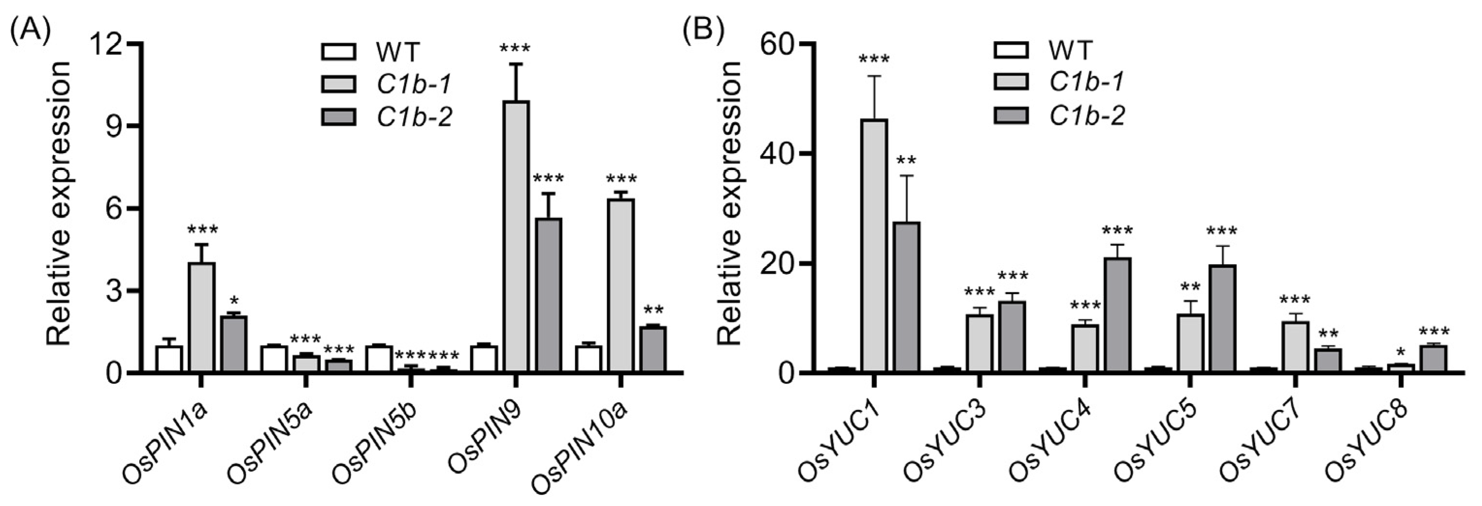 Plants 12 04058 g002