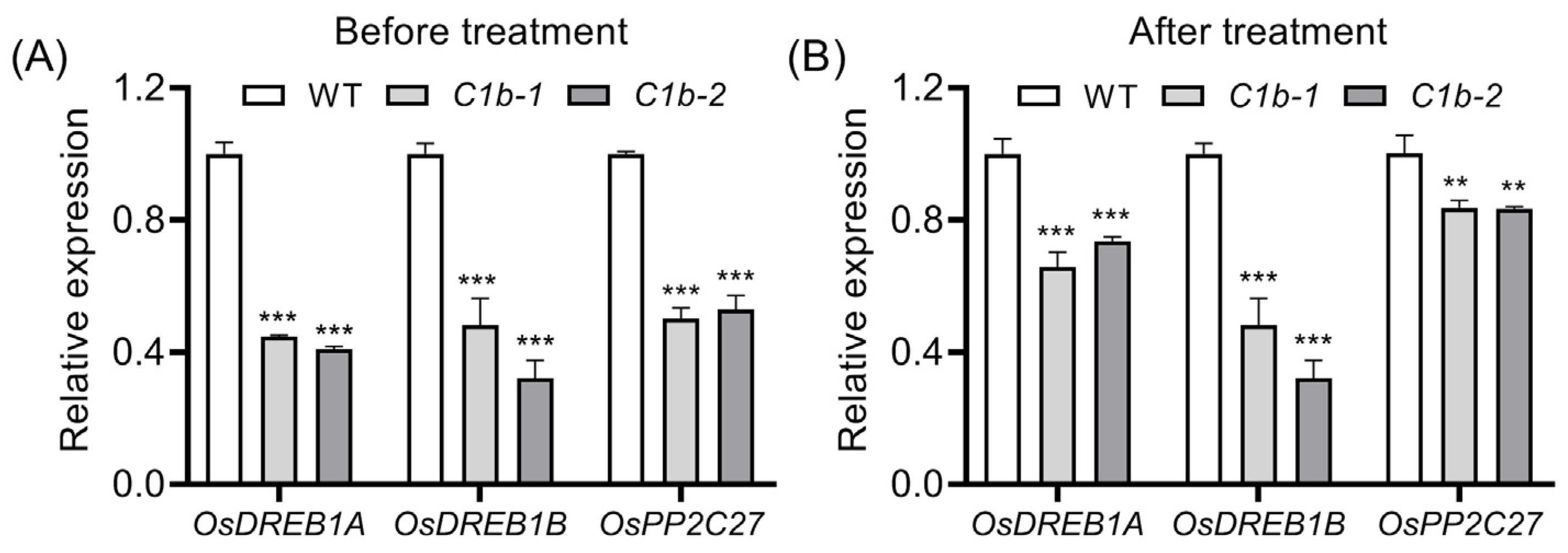 Plants 12 04058 g005