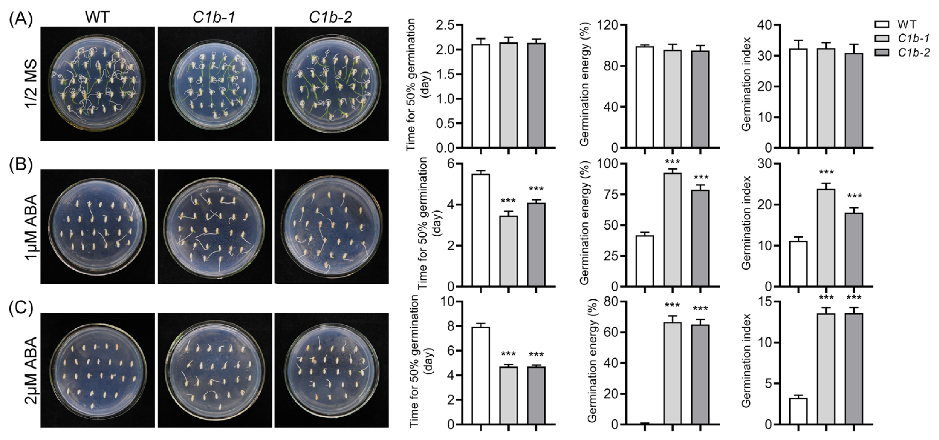 Plants 12 04058 g006