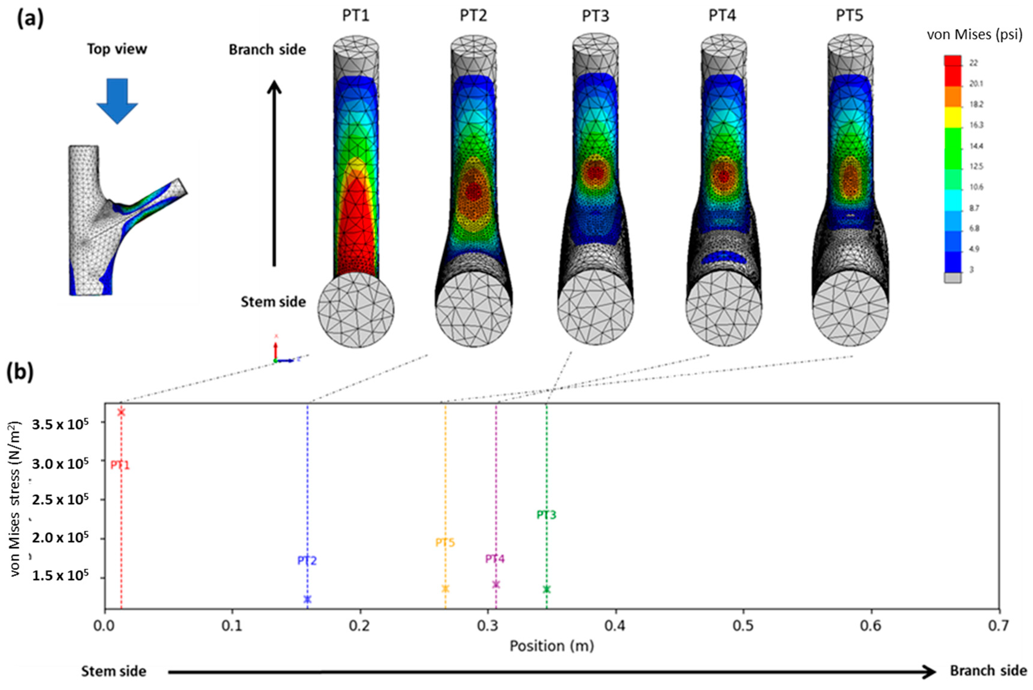 Plants 12 04060 g005