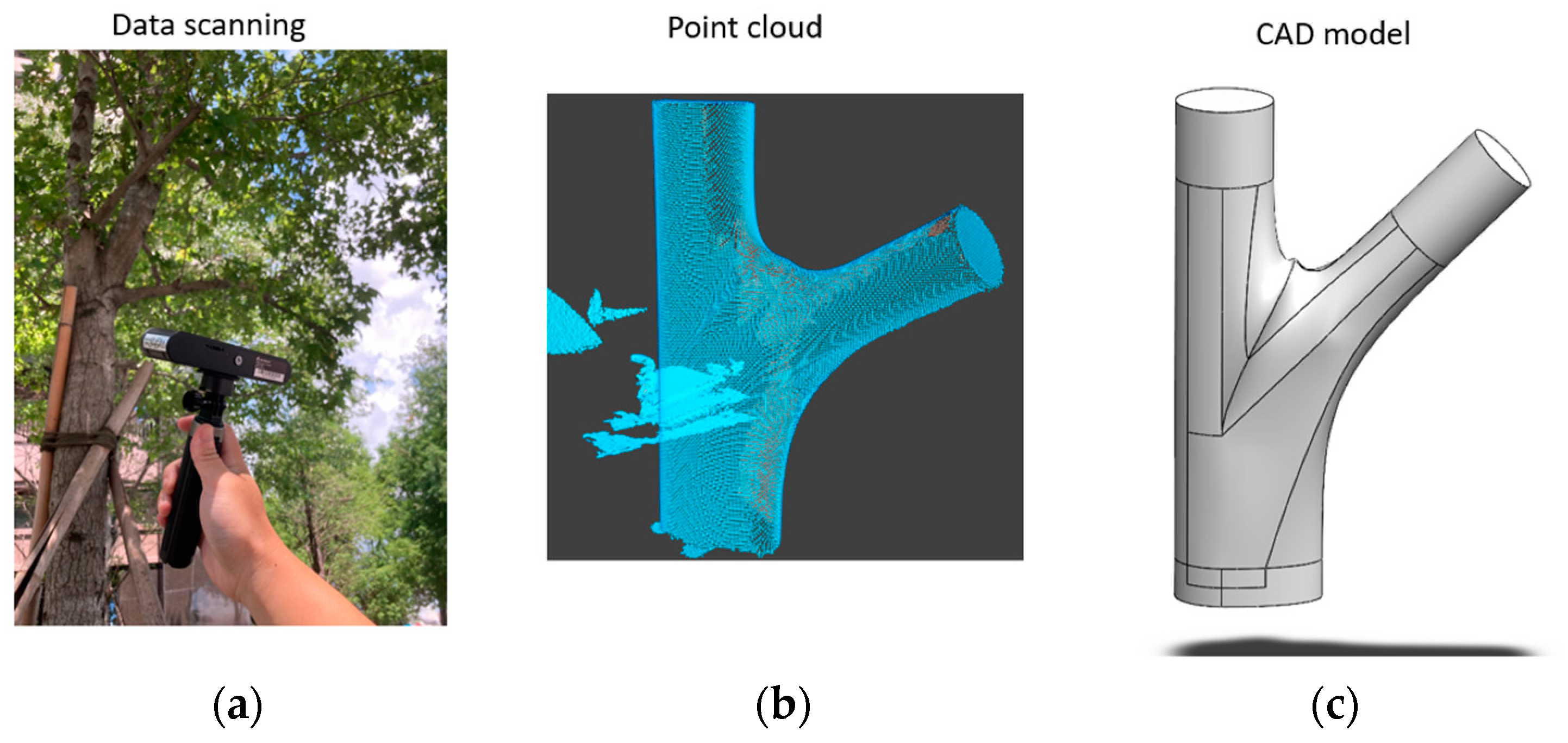 Plants 12 04060 g008