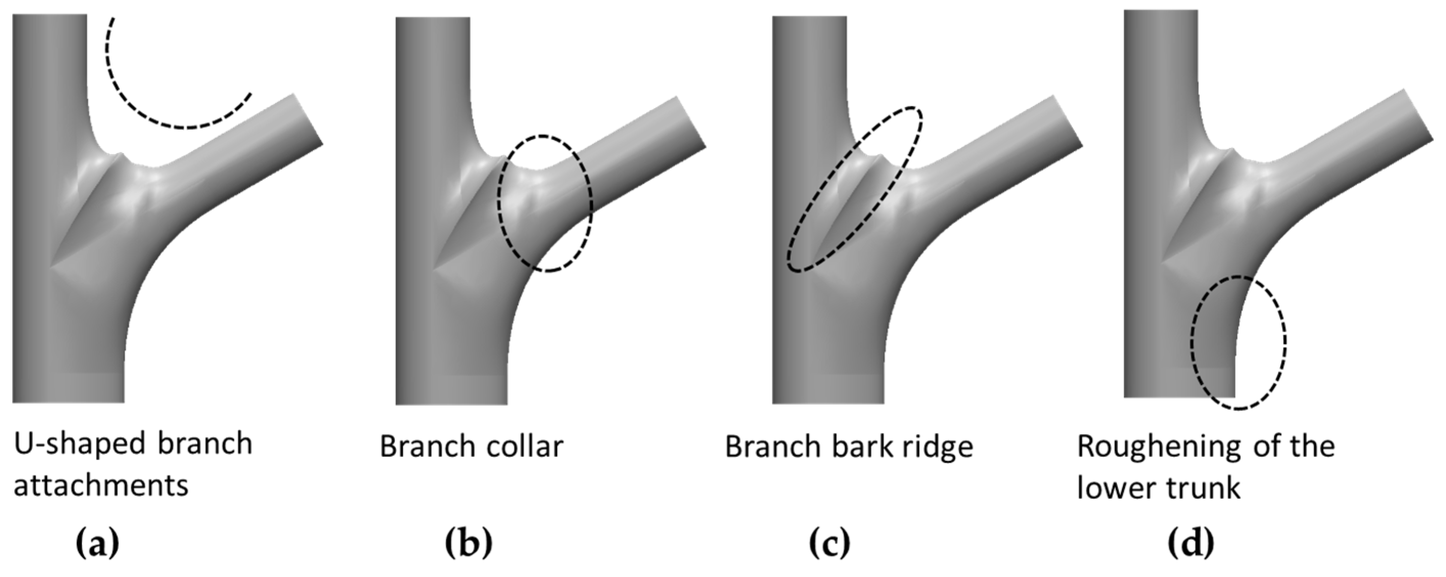 Plants 12 04060 g009