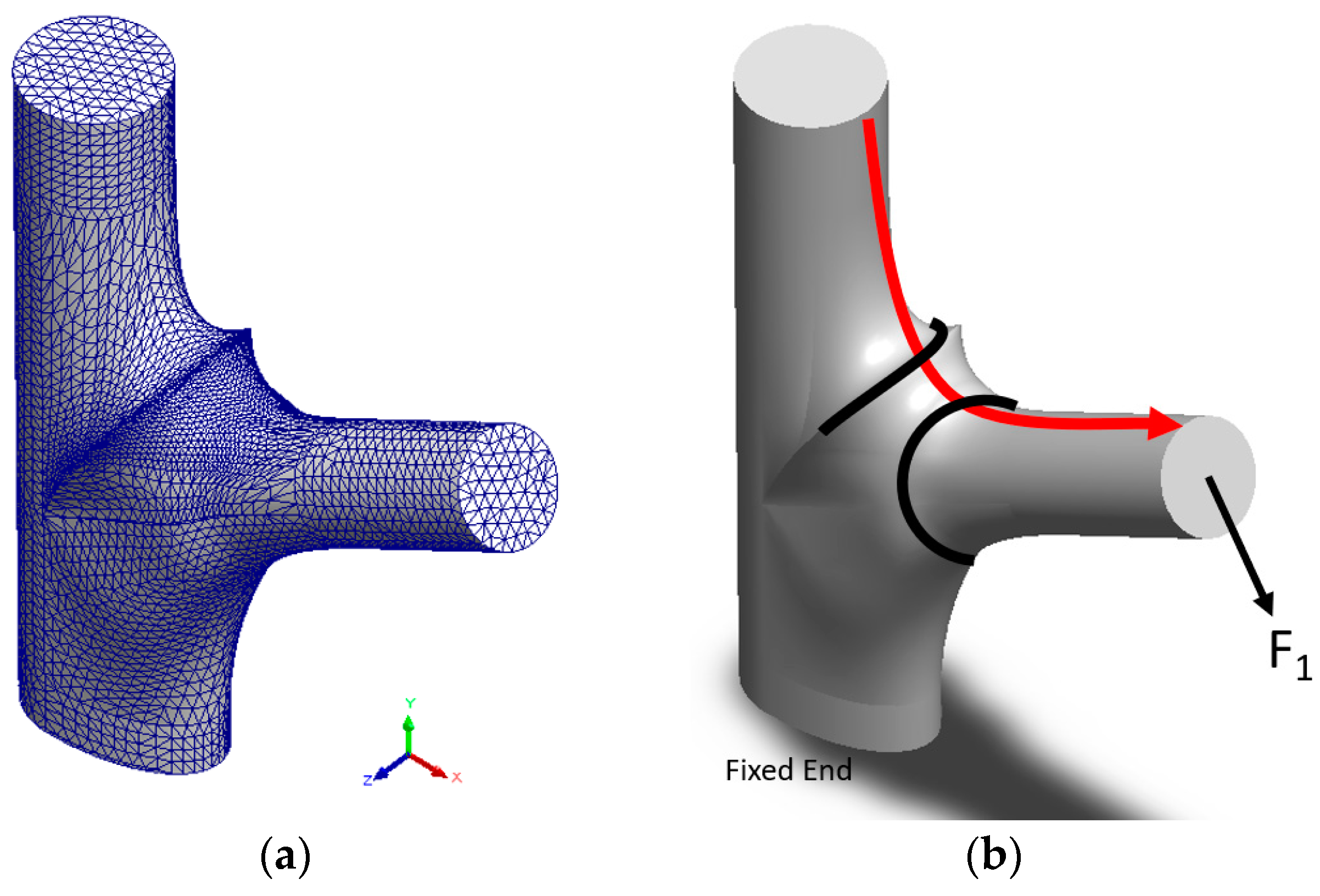 Plants 12 04060 g012