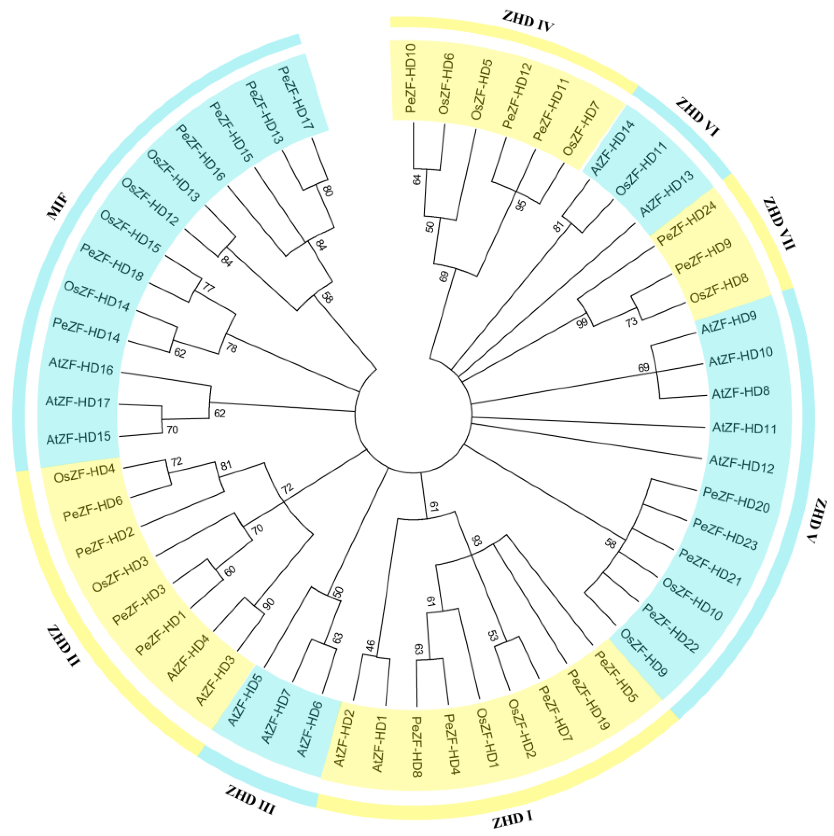 Plants 12 04064 g001