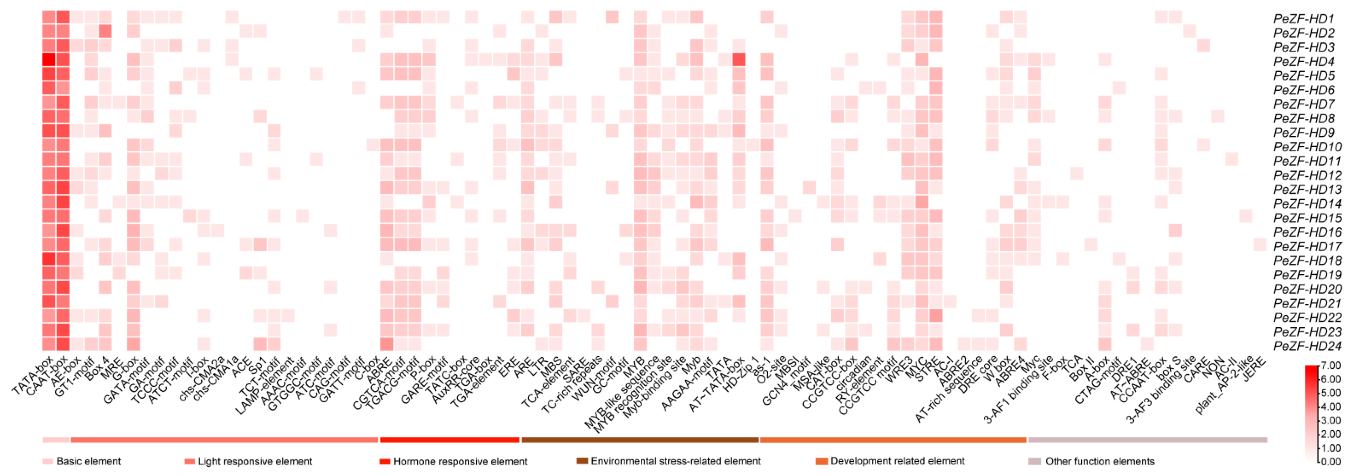 Plants 12 04064 g004