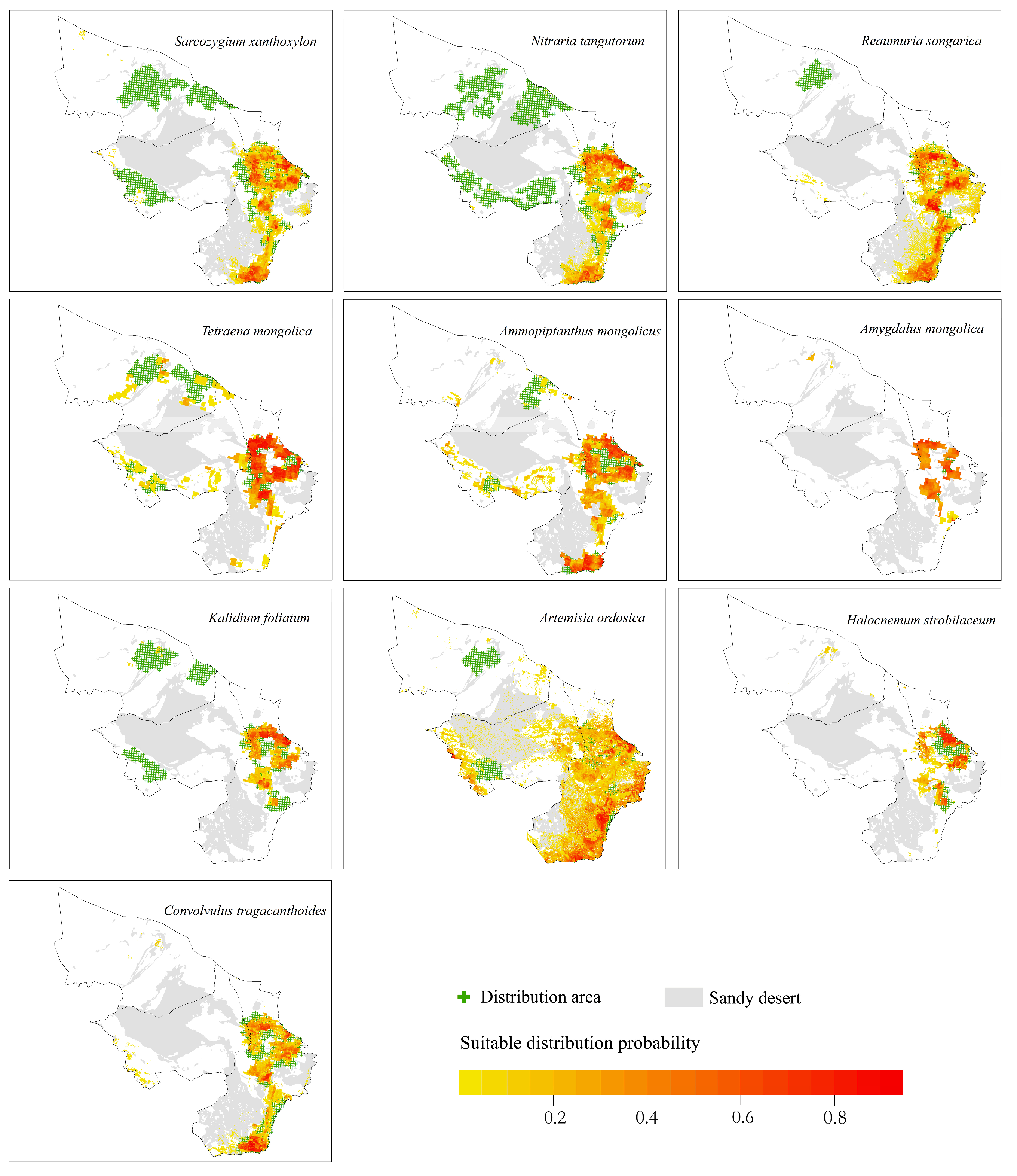 Plants 12 04065 g004