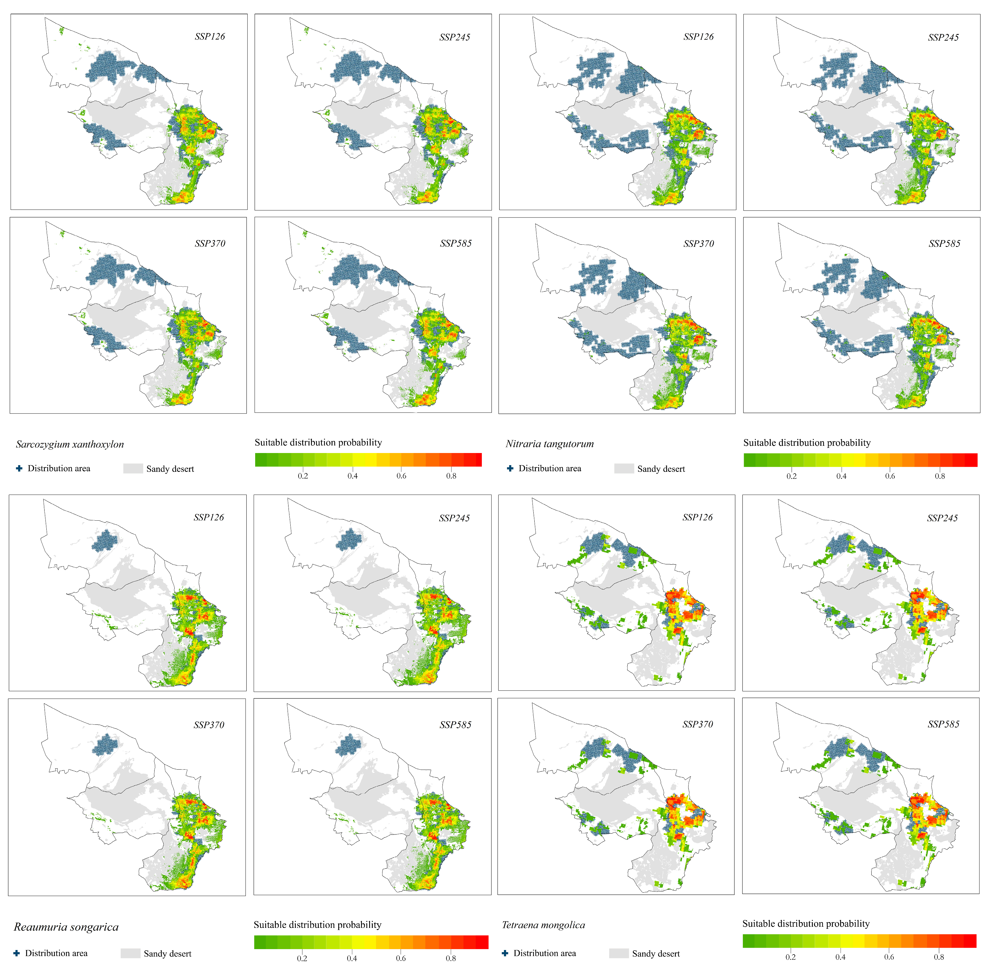 Plants 12 04065 g005a
