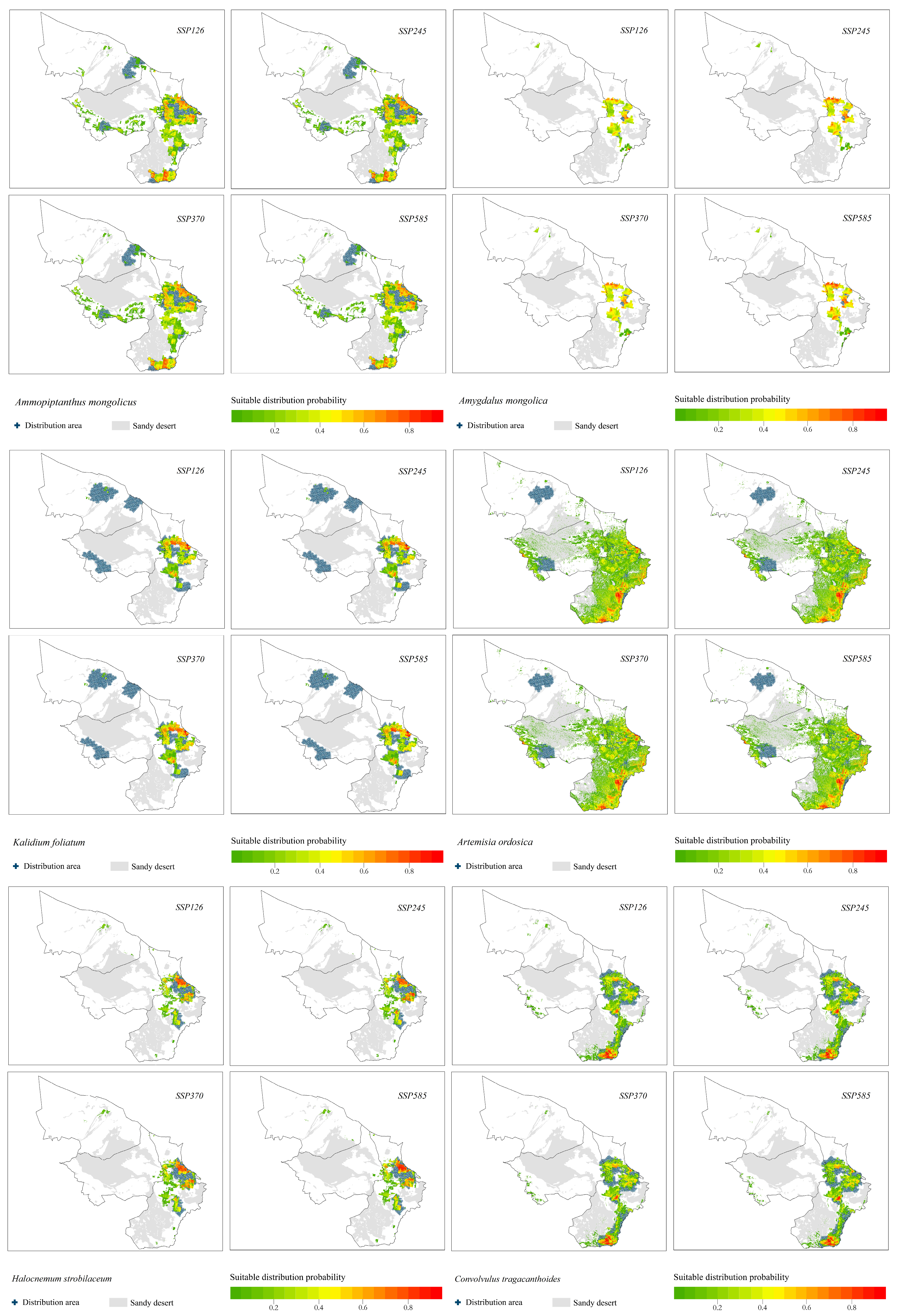 Plants 12 04065 g005b