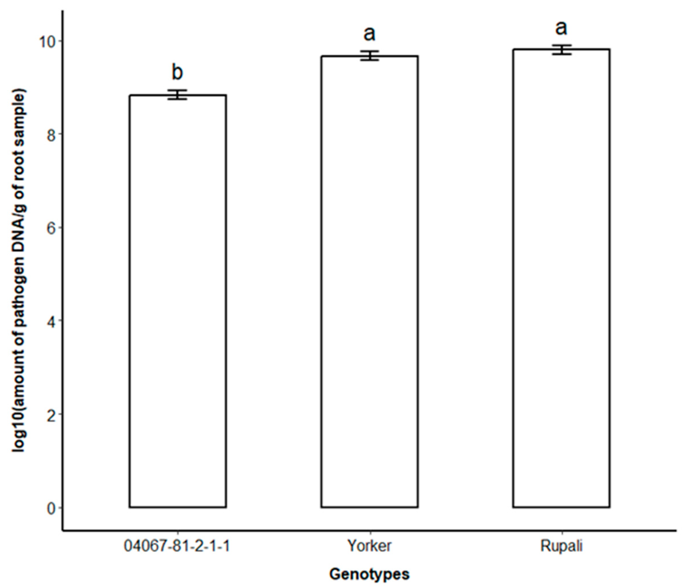 Plants 12 04069 g002