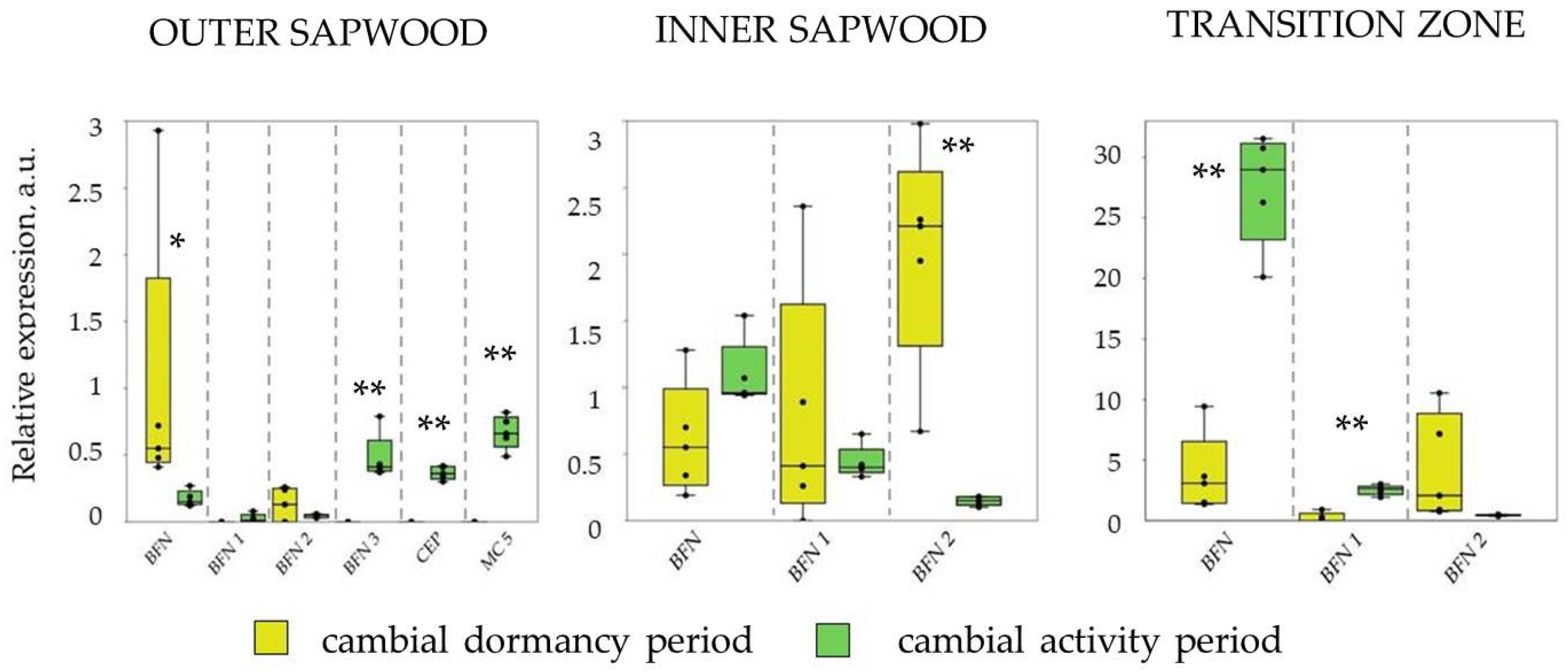 Plants 12 04072 g002