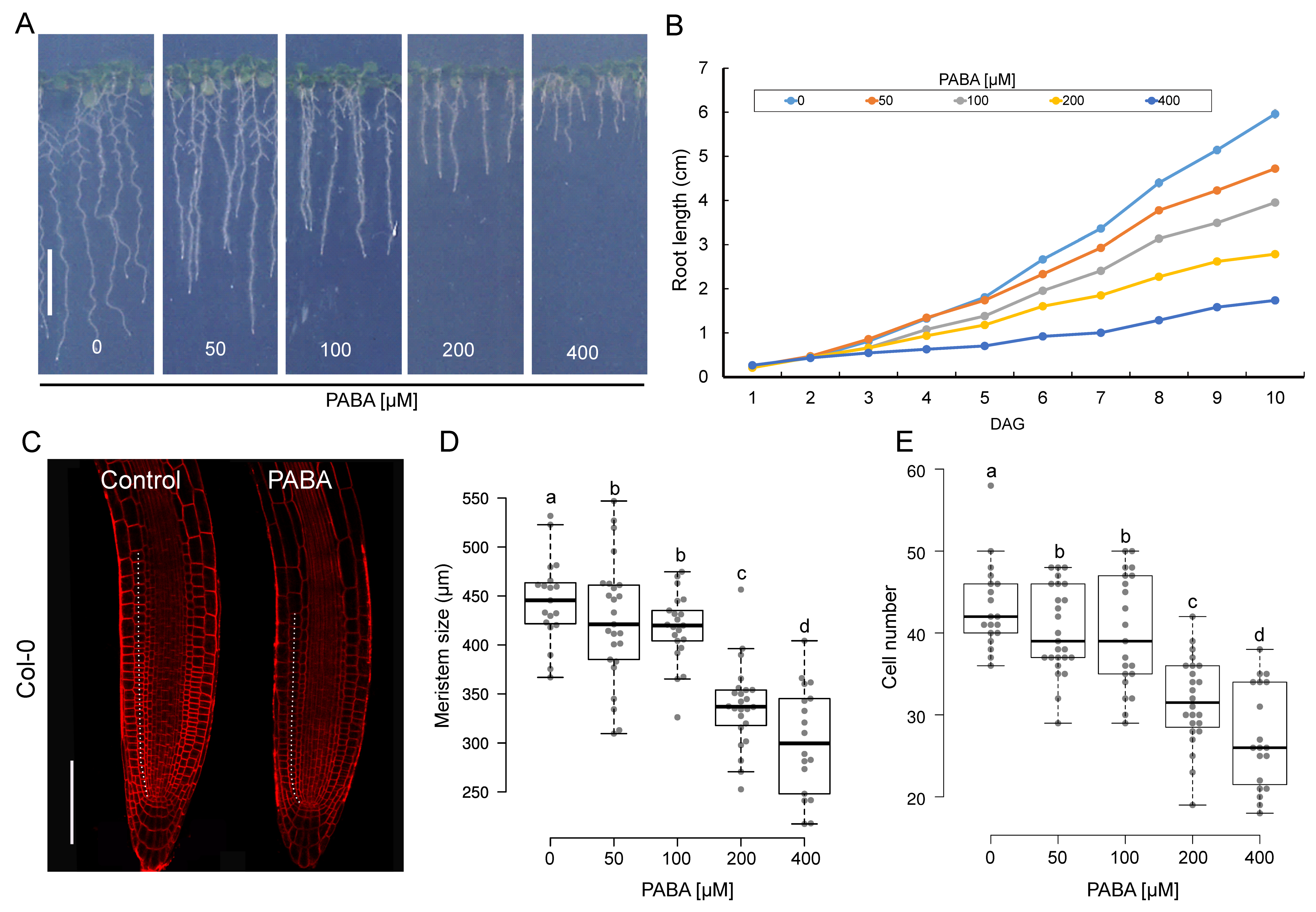 Plants 12 04076 g001