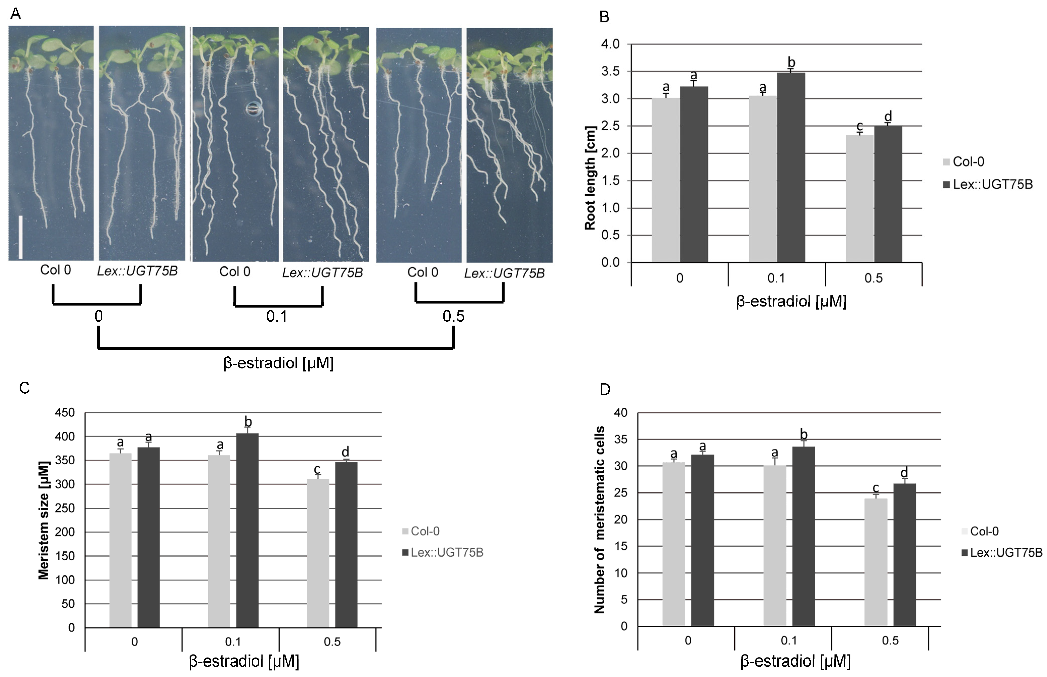 Plants 12 04076 g005