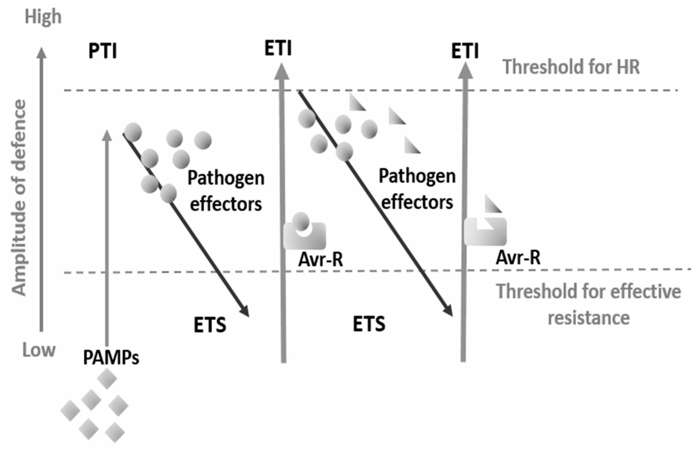 Plants 12 04082 g002