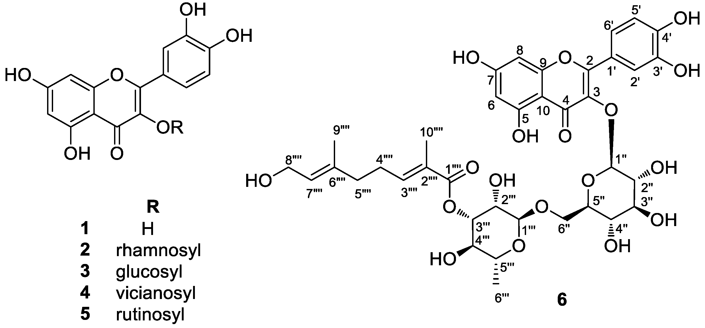 Plants 12 04083 g001
