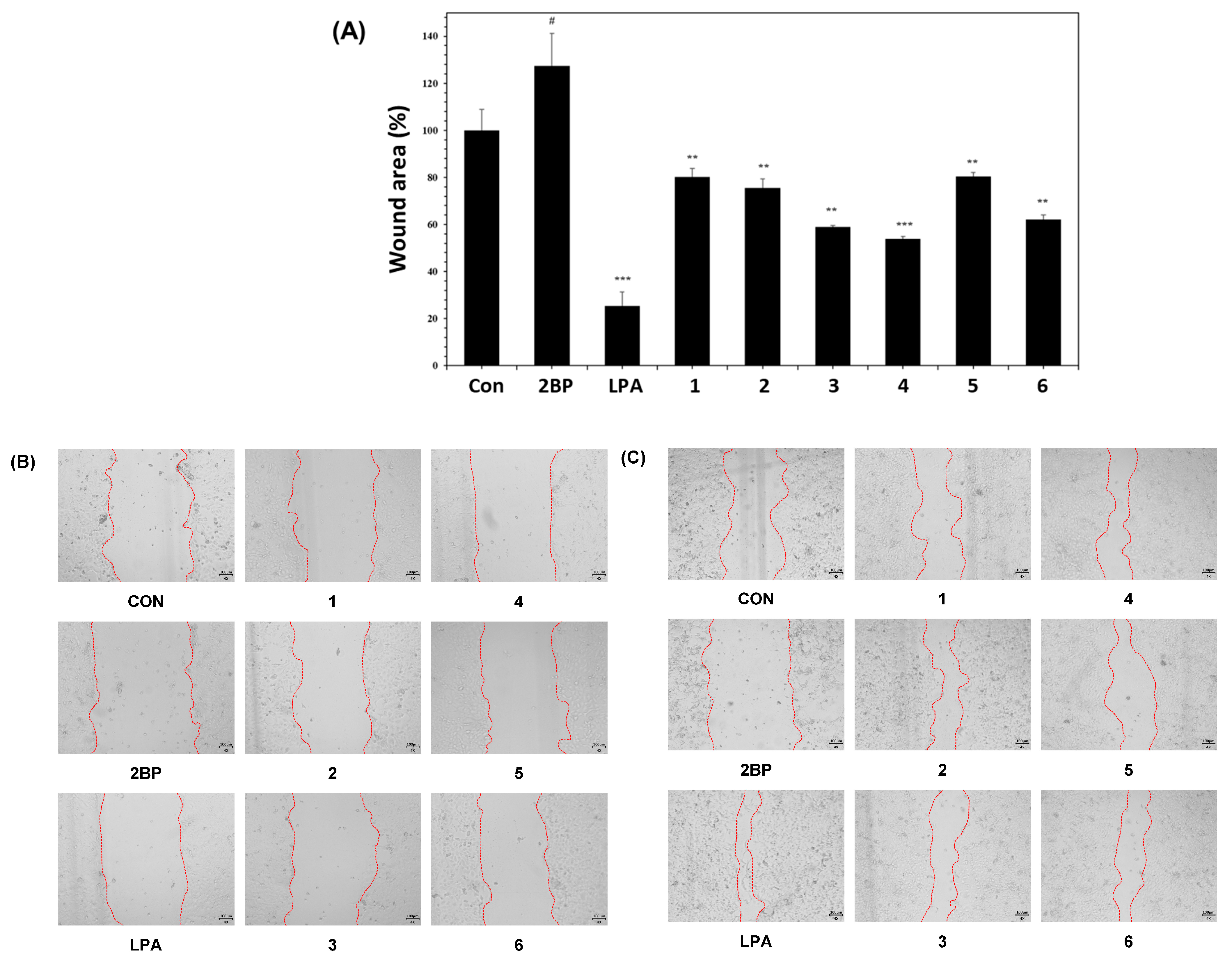 Plants 12 04083 g003
