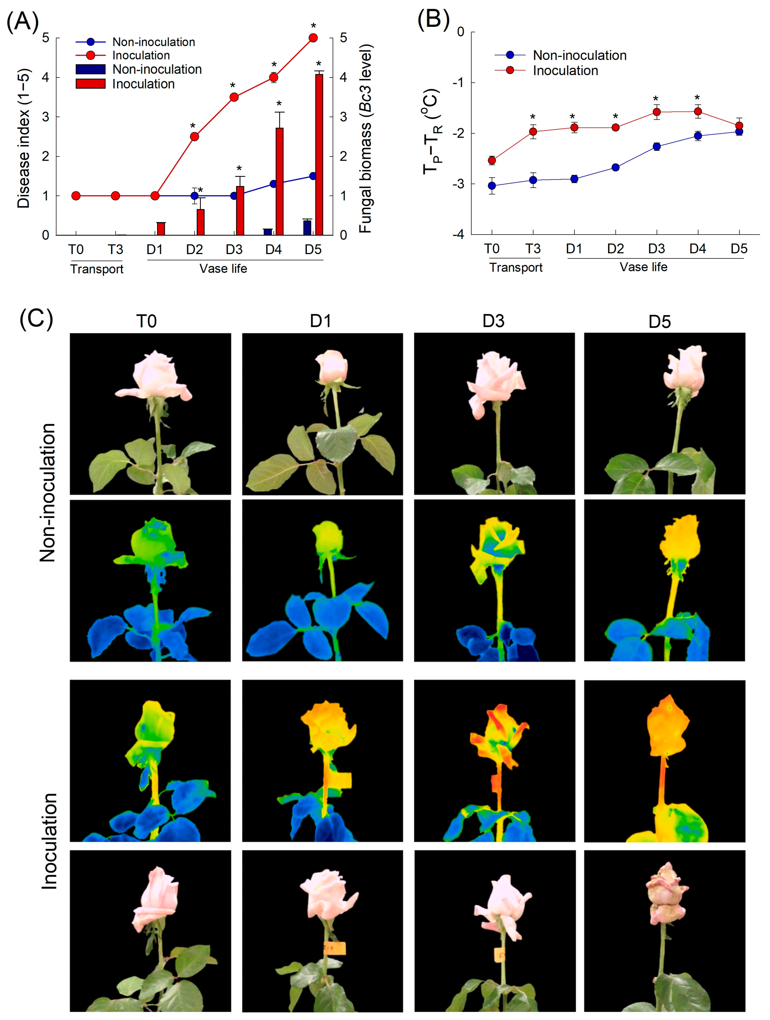 Plants 12 04087 g002