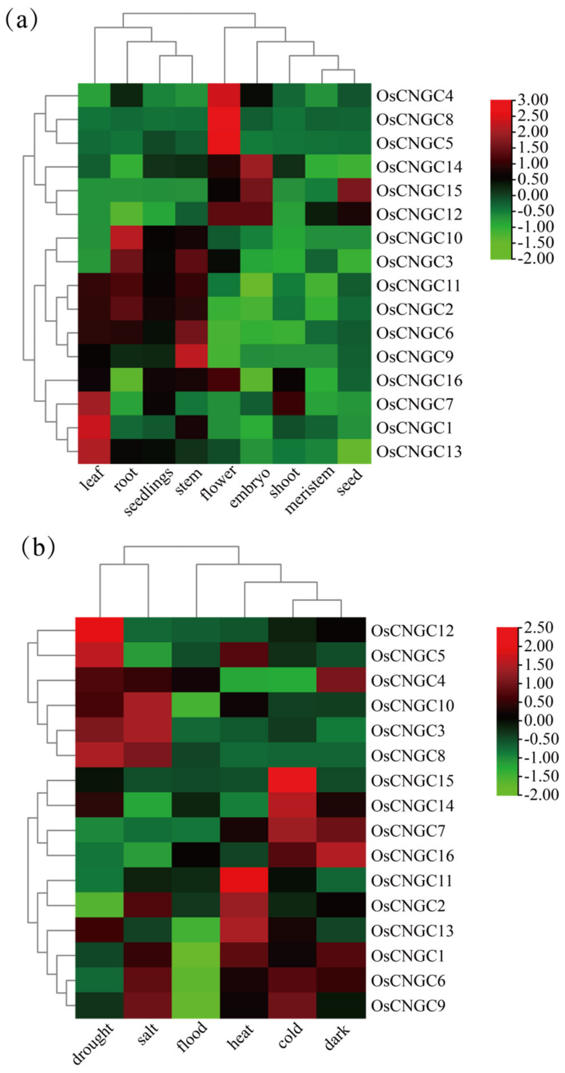 Plants 12 04089 g004