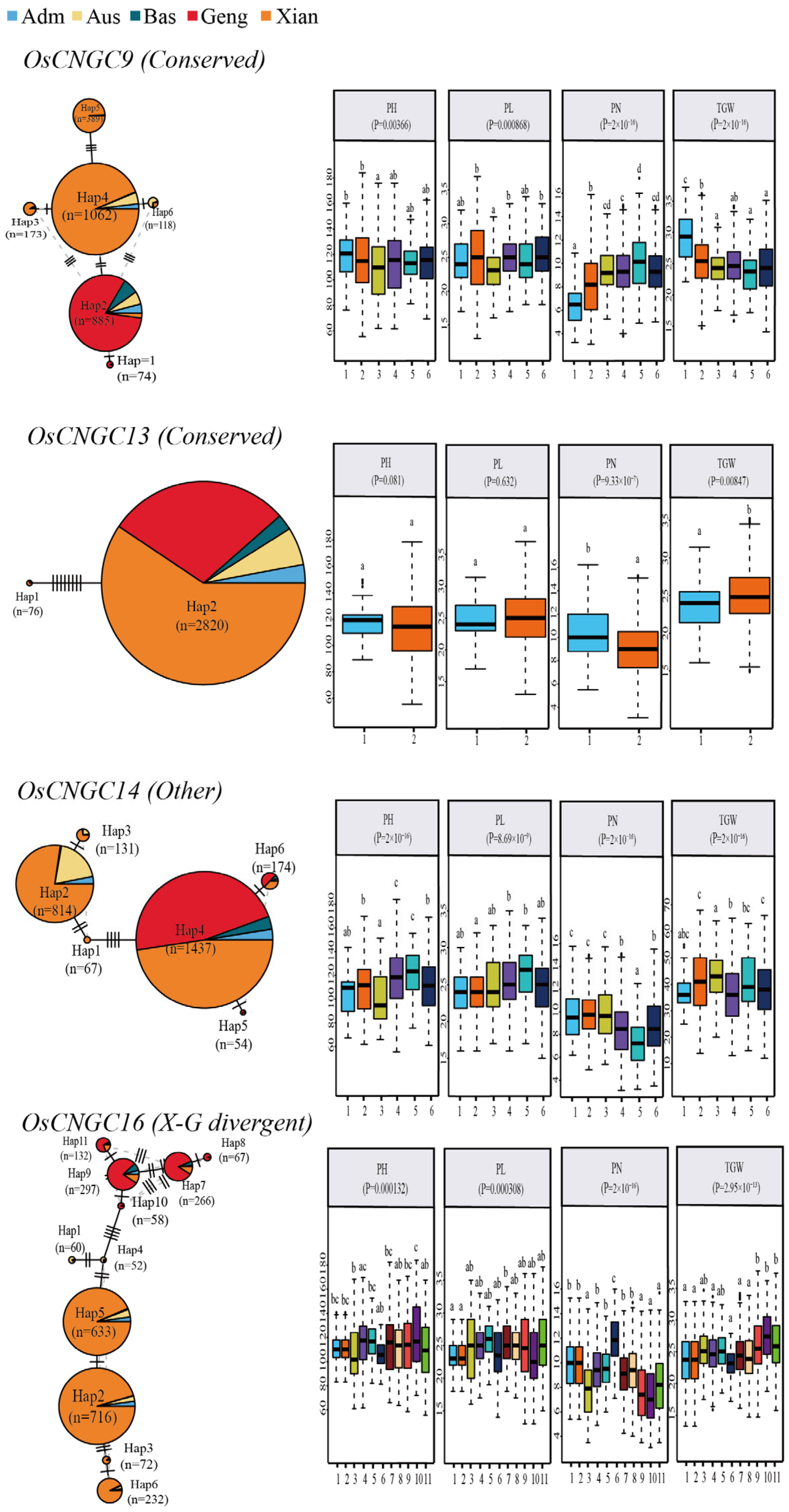 Plants 12 04089 g007