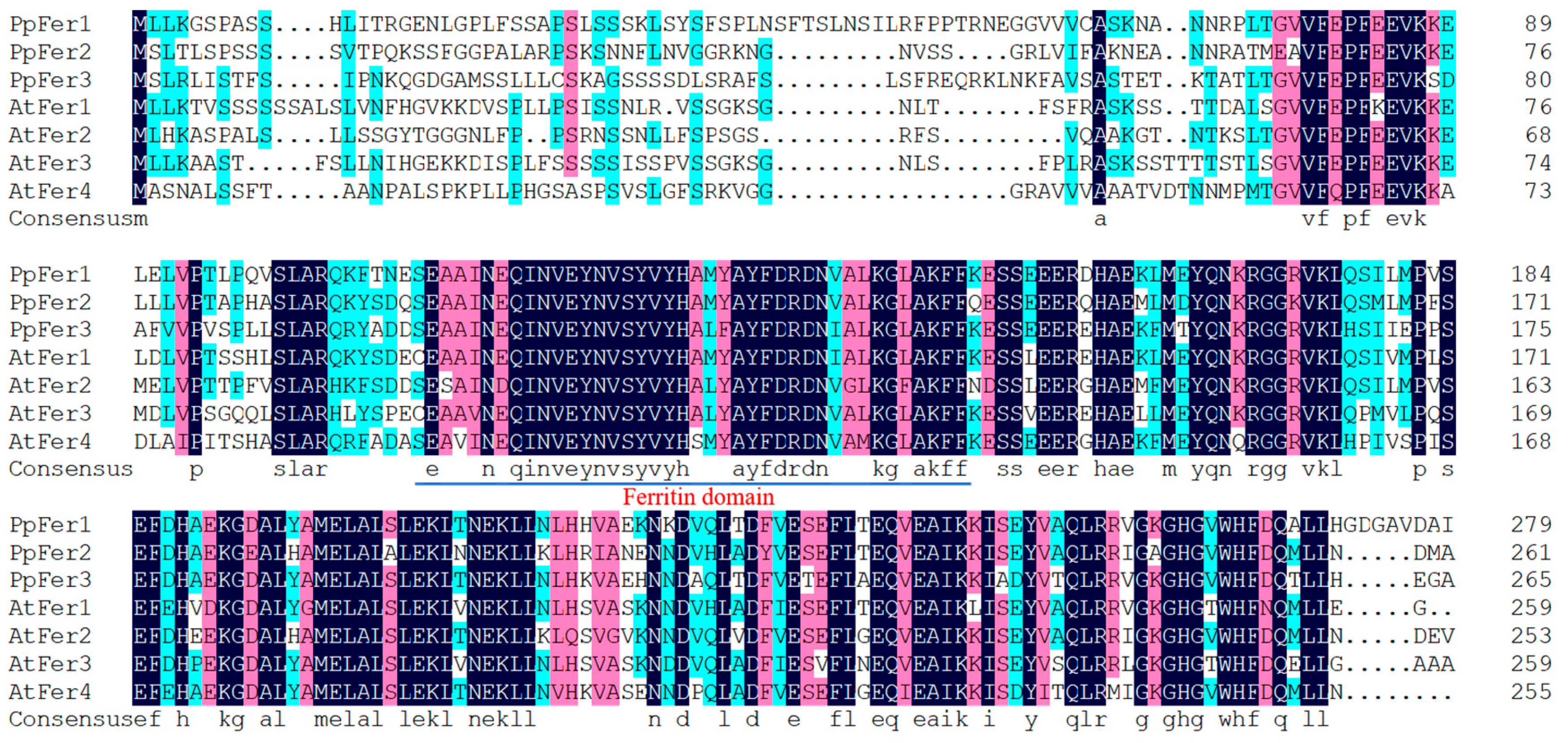 Plants 12 04093 g001