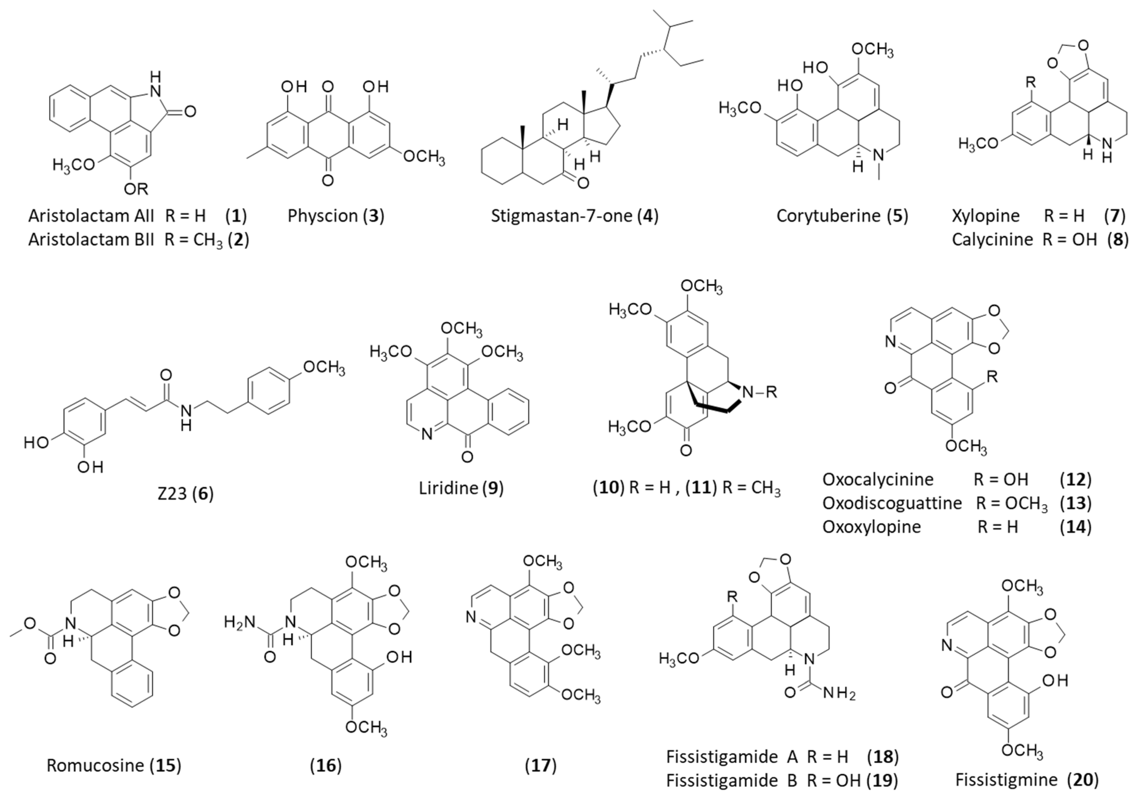 Plants 12 04094 g002