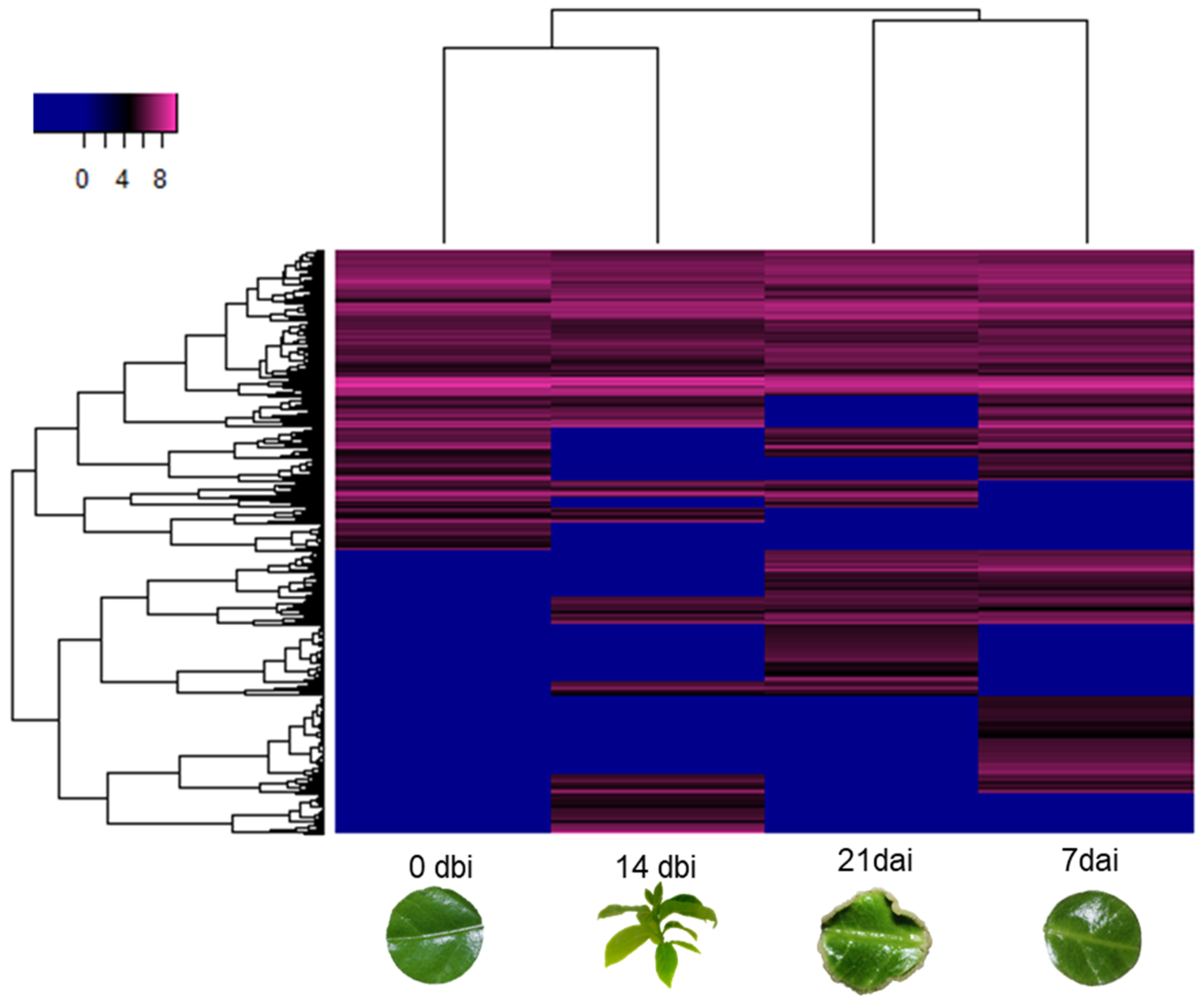 Plants 12 04095 g002