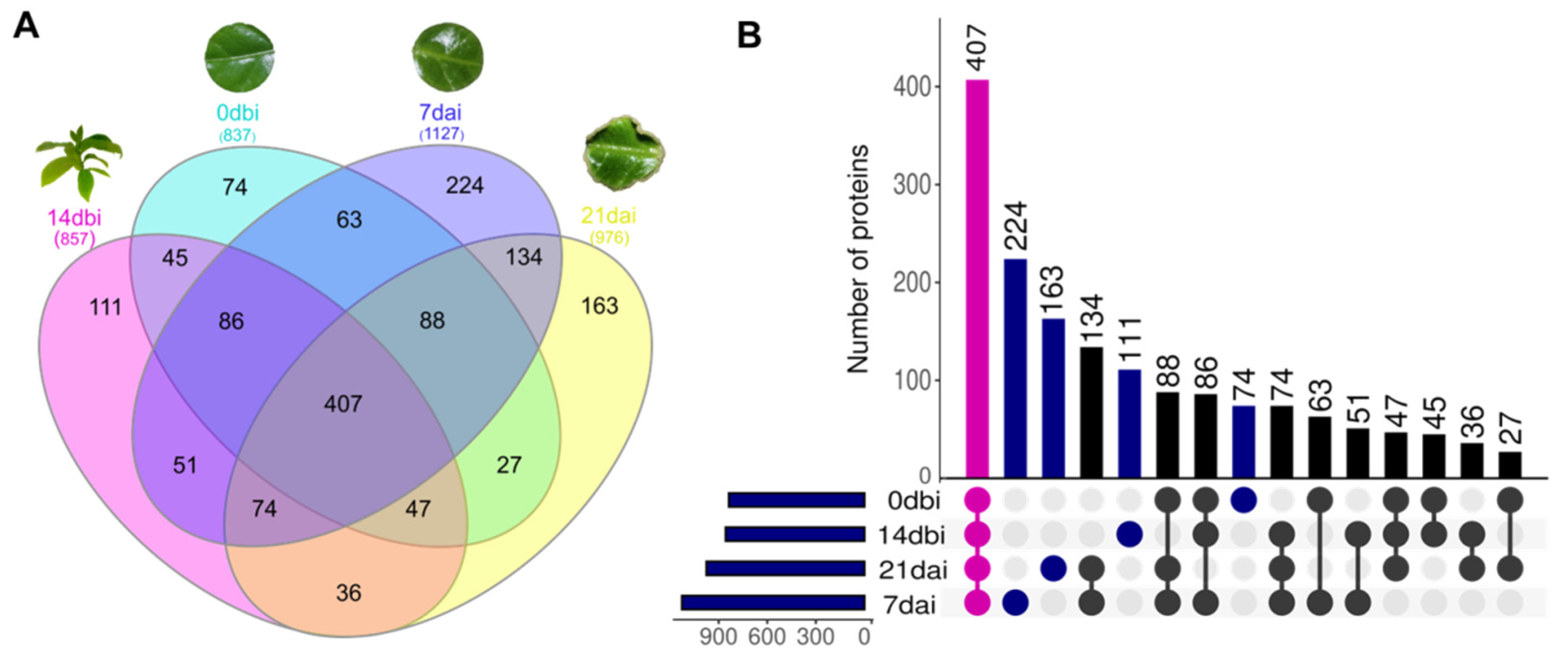 Plants 12 04095 g003