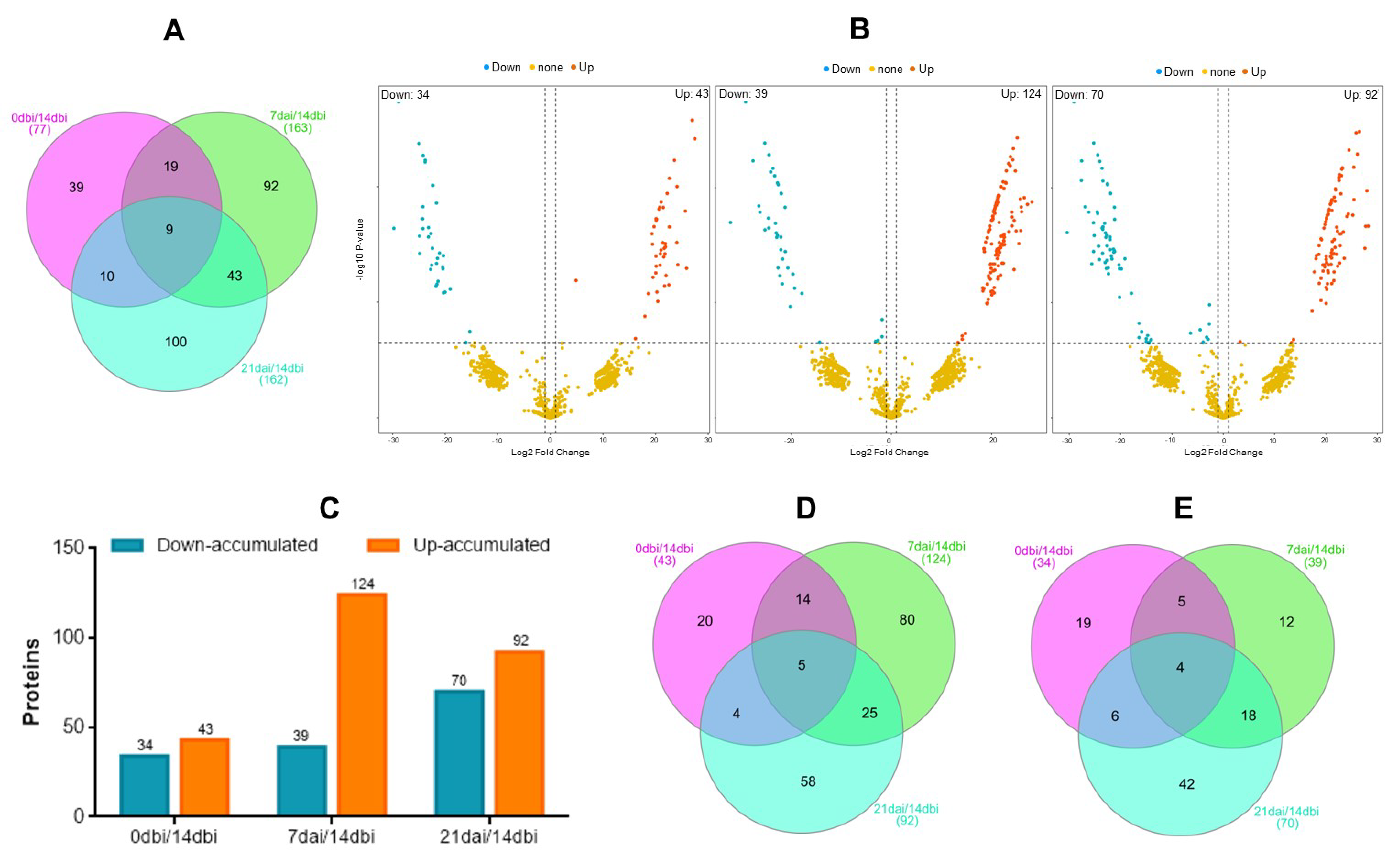 Plants 12 04095 g004